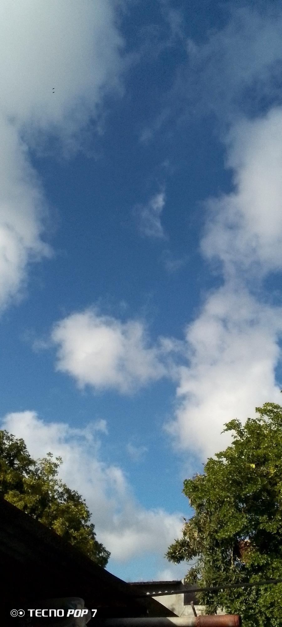 The image shows a view of the sky with scattered white clouds and patches of blue sky. Some trees are visible in the lower portion of the frame, with the edge of a roof and a small section of a building or structure. There are two small dark specks, possibly birds, high in the sky. The location is Altagracia, Venezuela. A TECNO POP 7 phone logo is visible in the lower left corner.