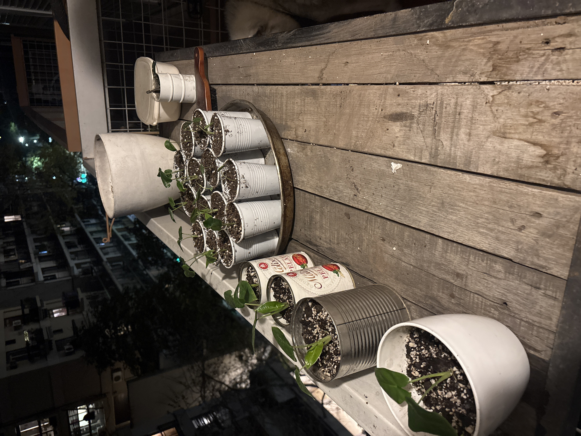The image depicts a nighttime urban scene, likely taken on a balcony in Buenos Aires, Argentina, as indicated by the visible cityscape and building style. The balcony is lined with wooden planks. There are several plants growing in a variety of containers, including tin cans and white pots. Some of the tin cans are labeled with brand names. The plants are young and appear to be in the early stages of growth. The pots are filled with soil. The balcony overlooks a street with buildings, visible lights, and signs of urban activity. The overall lighting is dim, with artificial light sources illuminating the scene.