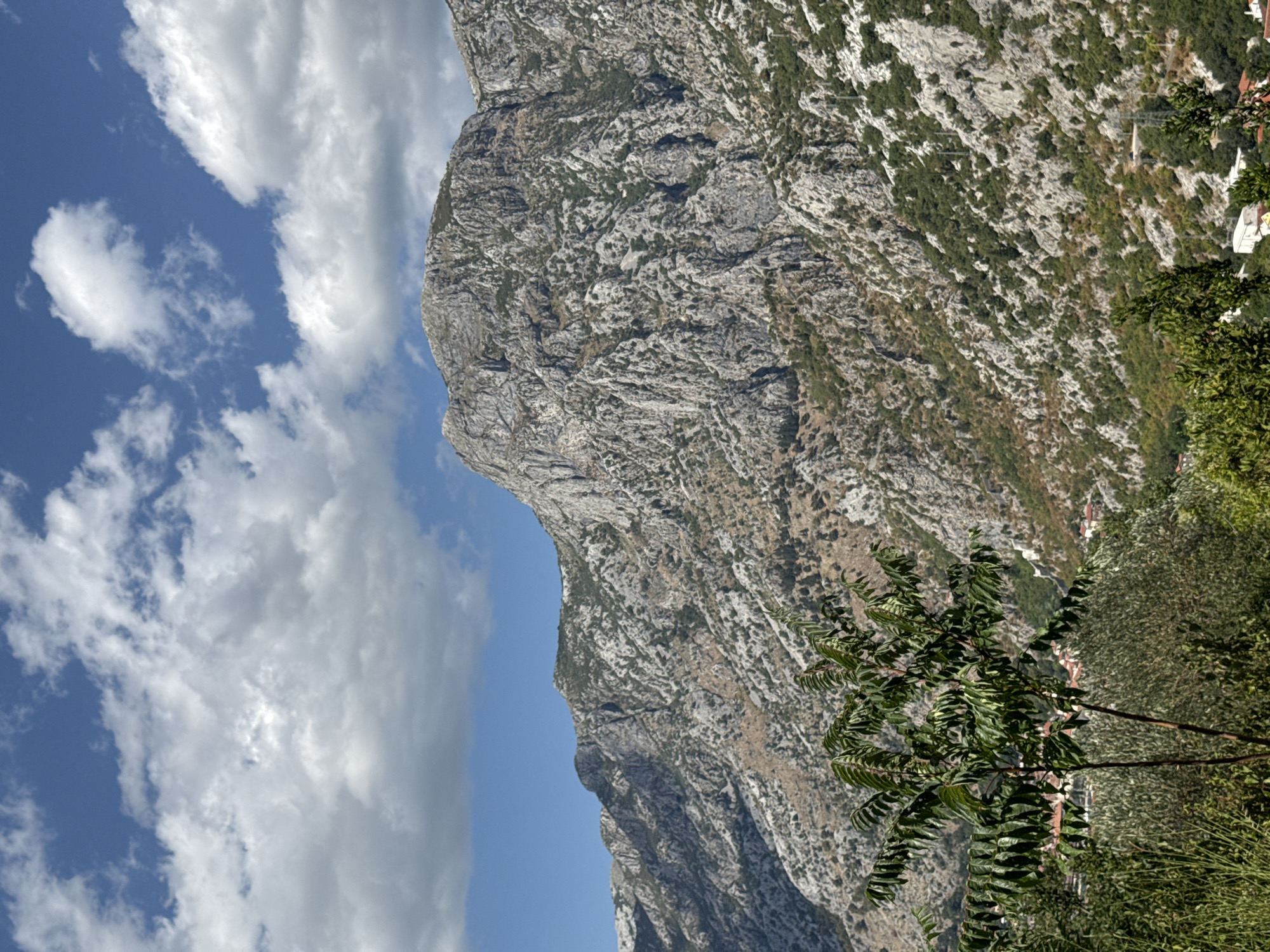 The image displays a rugged, rocky mountainside with sparse vegetation clinging to its slopes, set against a bright blue sky with scattered white clouds. In the foreground, a lush green tree with feathery leaves dominates the lower right portion of the frame, its branches extending towards the mountains. The mountain itself is characterized by its textured, weathered surface, with crevices and ridges suggesting a long geological history. Hints of human habitation, appearing as small red-roofed buildings, are visible in the distance, nestled within the green landscape at the base of the mountain. The scene suggests a sunny day, likely in the late morning or early afternoon, given the brightness of the sky and the shadows cast. The overall impression is one of natural grandeur and a harmonious blend of wild landscape with a settled human presence, indicative of the location in Škaljari, Montenegro. There is no visible text in the image.