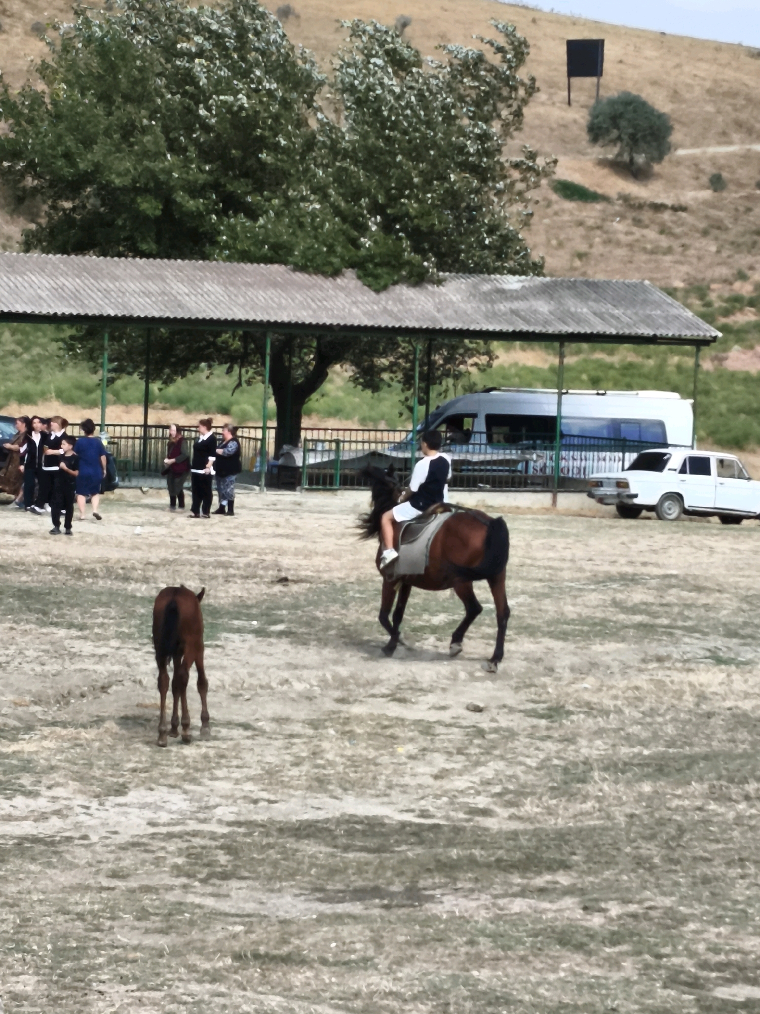 In the city of Qalaşıxı, Azerbaijan, a group of people stand near a covered outdoor structure with a corrugated roof supported by green posts. Behind them, a white van and a white sedan are parked. In the foreground, a person is riding a brown horse with a black mane. Another, smaller brown horse stands to the left of the rider. The ground is covered in dry grass and dirt. In the background, a barren hillside rises, with a solitary tree and a dark rectangular sign on a post.