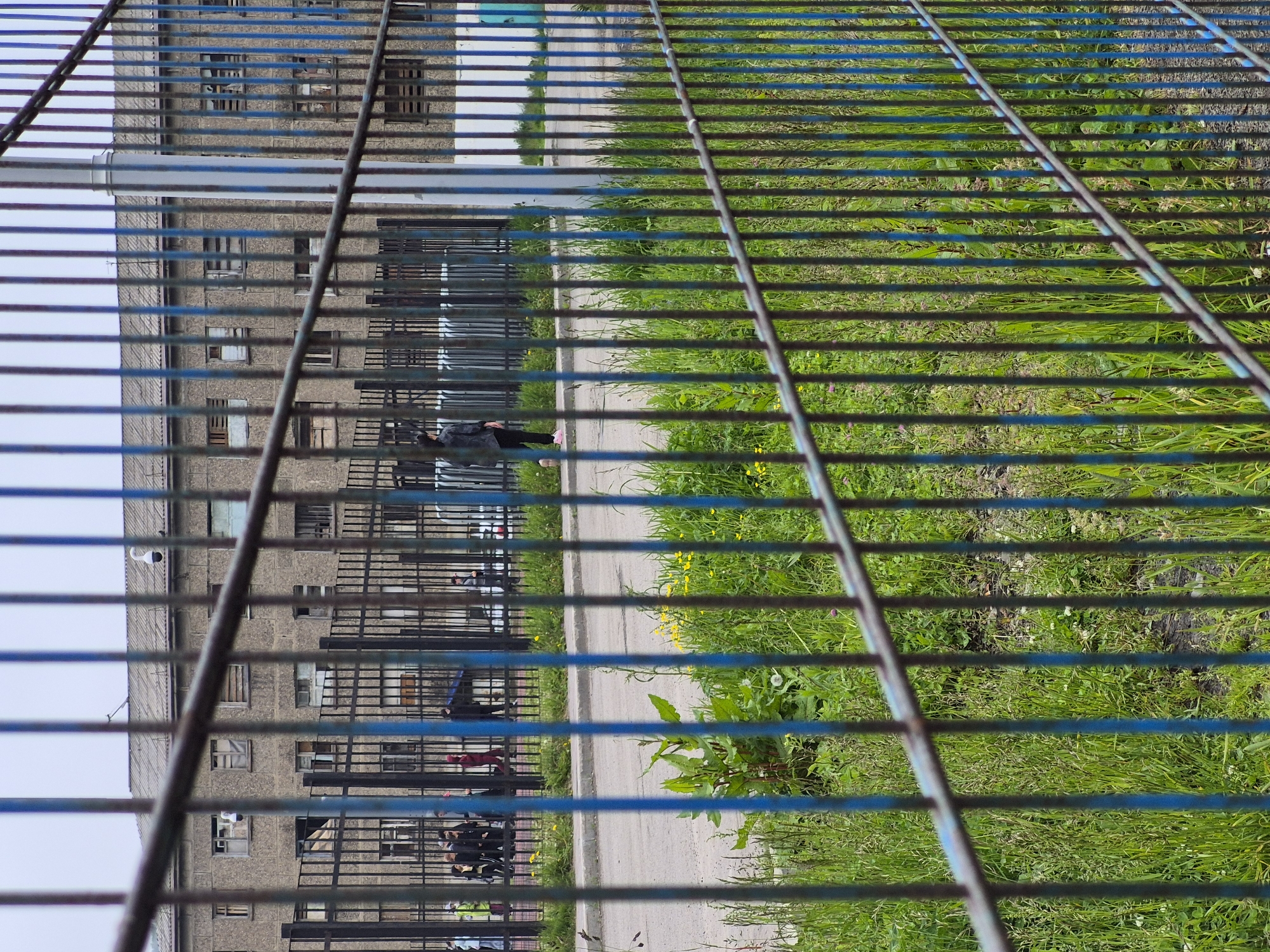 A fence with blue and black vertical bars is in the foreground. Behind the fence, a weathered, grey, multi-story building with multiple windows stands under an overcast sky. Some windows are boarded up, while others appear broken or empty. A paved area is visible between the fence and the building, with sparse green grass and weeds growing in patches. A group of people are walking along the paved area. One person, wearing a dark jacket and black pants with pink shoes, walks away from the camera. Another person is wearing a dark hooded garment, and others are dressed in various casual clothes. Some of the people appear to be wearing masks. To the right of the building, a light blue porta-potty is partially visible. The scene suggests an outdoor environment in an urban or industrial setting, likely during the day. The building appears to be an older apartment complex or administrative building in a state of disrepair.
