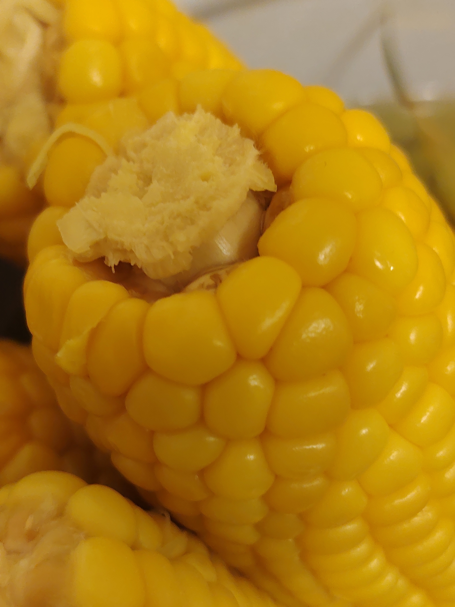 A close-up, indoor shot features several ears of corn. The corn is bright yellow and appears to be cooked. Some kernels are visible at the top of one ear, with a small piece of cob exposed. The background is out of focus and appears to be a kitchen or dining area. There is no information in the image to suggest a location in Konakovo, Russia.