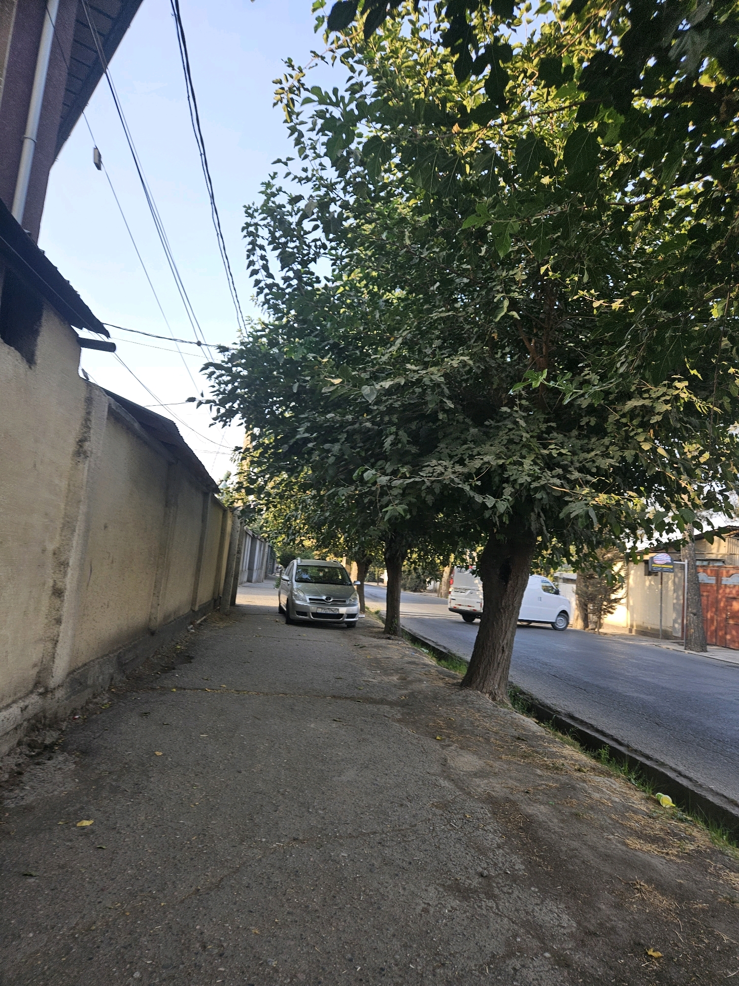 The image shows a street scene in Dushanbe, Tajikistan, with a sidewalk running along a textured, light-colored wall on the left. Overhead, power lines crisscross against a clear blue sky. Several trees with dense green foliage are planted along the sidewalk, casting shadows on the asphalt road. A silver car is parked on the right side of the sidewalk, and further down the road, a white van is visible. The road appears to be paved with asphalt and shows some wear. The environment is an urban setting with elements of residential or commercial buildings lining the street.