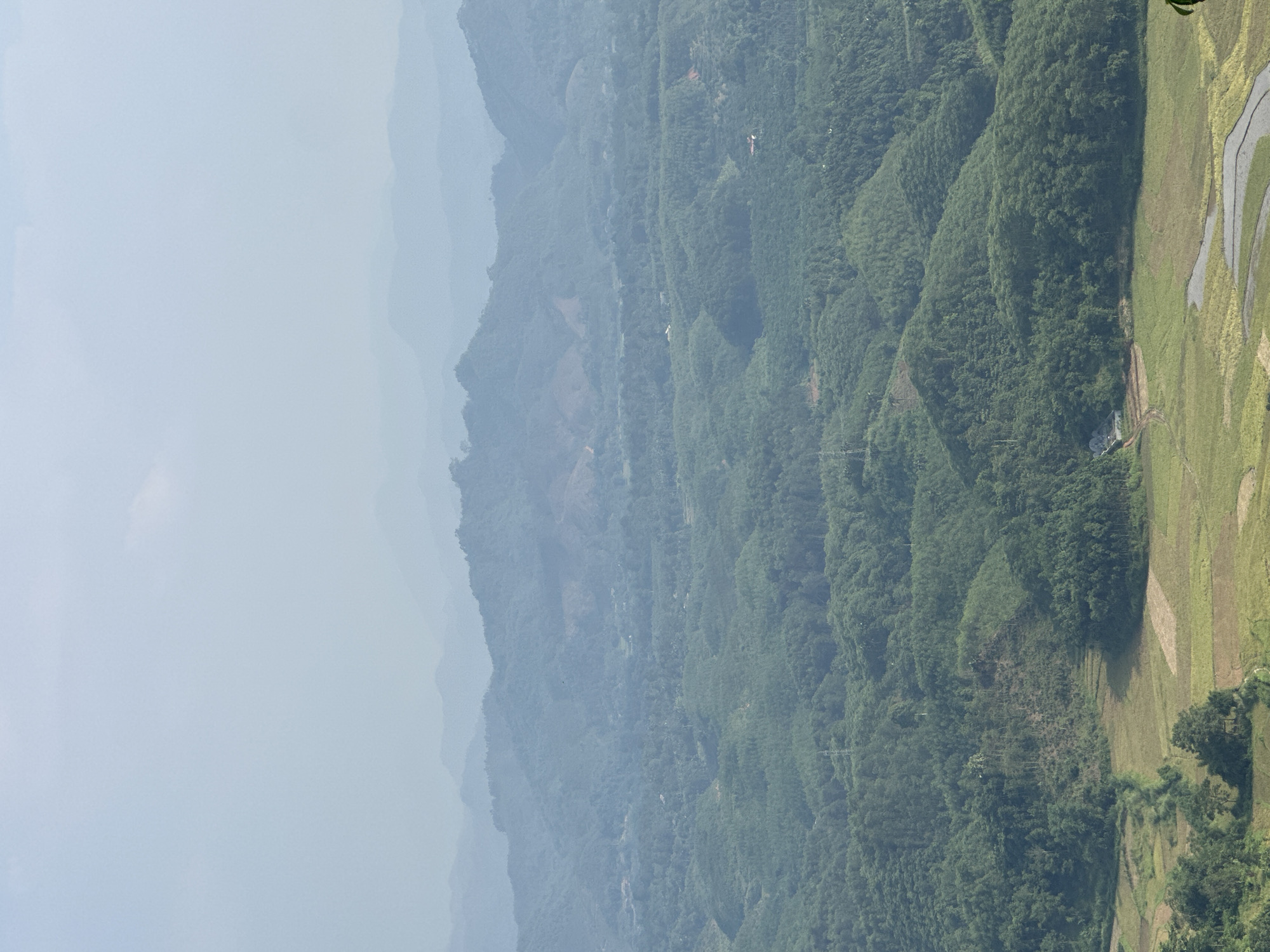 The image depicts a vast, hazy mountainous landscape under a pale blue sky, likely in Tân Trịnh Commune, Vietnam. The scene is oriented horizontally, showing successive layers of forested hills receding into the distance, rendered lighter and bluer by atmospheric perspective.
In the upper portion, a soft, light blue sky fills about a quarter of the frame, indicating a clear but possibly humid or misty day. Below the sky, numerous rolling hills, densely covered in verdant trees, dominate the middle ground. The foliage appears lush and green, characteristic of tropical or subtropical regions. Some sparse clearings or patches of lighter earth are visible on the slopes of certain hills. Faint structures resembling power lines or poles can be seen traversing some of the mountainous terrain, suggesting human presence and infrastructure.
In the foreground, towards the lower right, the forested mountains transition into agricultural fields, likely terraced rice paddies. These fields display a mosaic of colors: vibrant green where crops are growing, earthy brown in fallow or recently tilled sections, and patches of reflective grey or light blue indicating standing water. The fields are irregularly shaped, conforming to the natural contours of the land. A few isolated trees with darker foliage stand in the very bottom right corner, partially obscuring the fields.
No specific activity is taking place, and no people or animals are clearly visible. The overall impression is one of a serene and expansive natural landscape, hinting at the agricultural practices common in mountainous regions of Southeast Asia. The time of day appears to be daytime, with soft, diffused lighting and no harsh shadows. No visible text is present in the image.