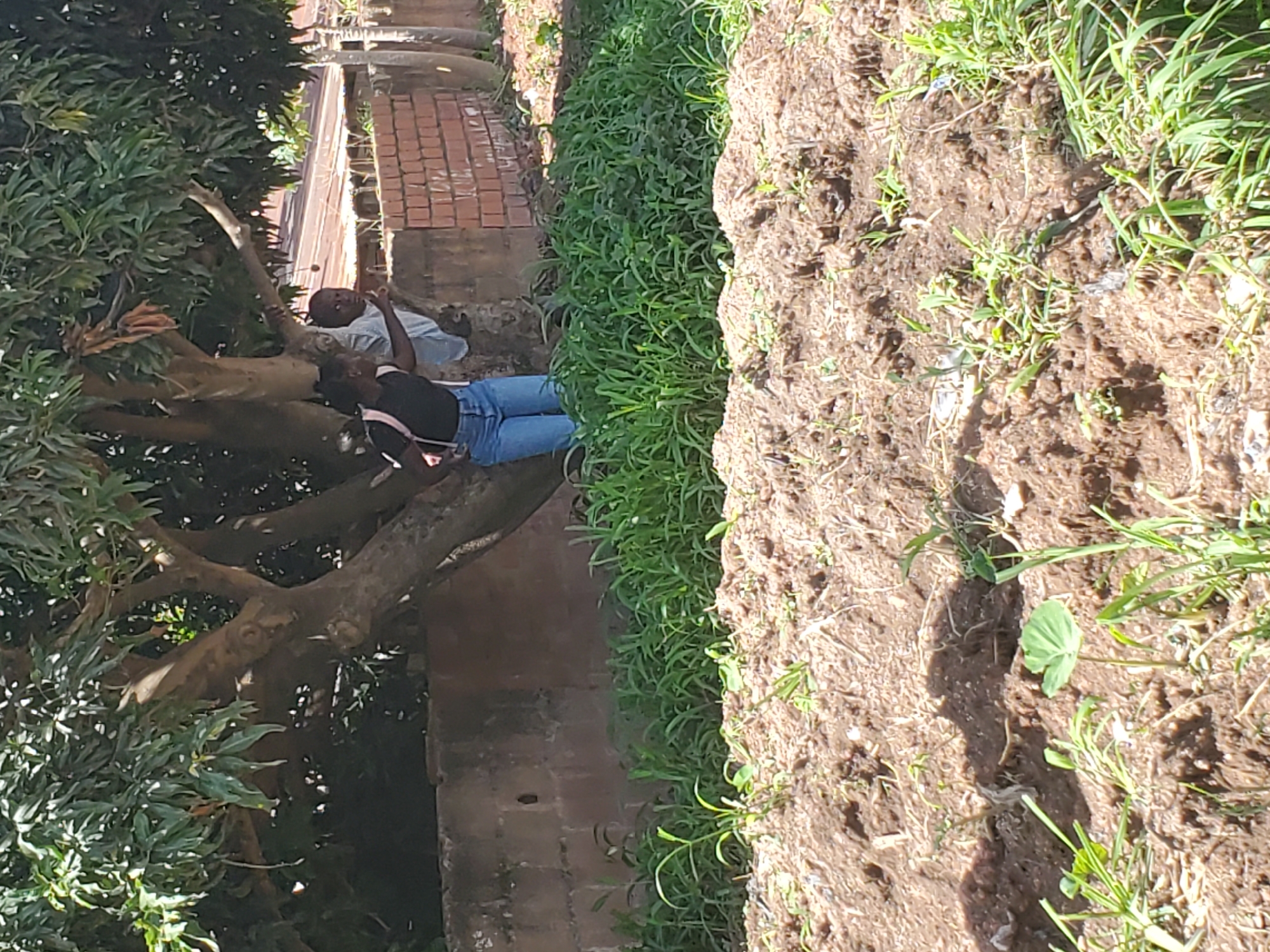 In Bukuru, Nigeria, a young Black woman wearing a black t-shirt, blue jeans, and a pink backpack stands near the trunk of a large tree. She is looking towards the left. Partially obscured by the tree, a young Black boy in a light blue shirt is visible, his right arm extended and pointing. He is also looking in the same direction as the woman. They are positioned in front of a low, rough, concrete wall, with a brick wall and corrugated metal roofing visible in the background. Lush green grass grows in front of the concrete wall and extends to the right of the frame. In the foreground, the ground is covered with loose, brown soil and sparse green vegetation.