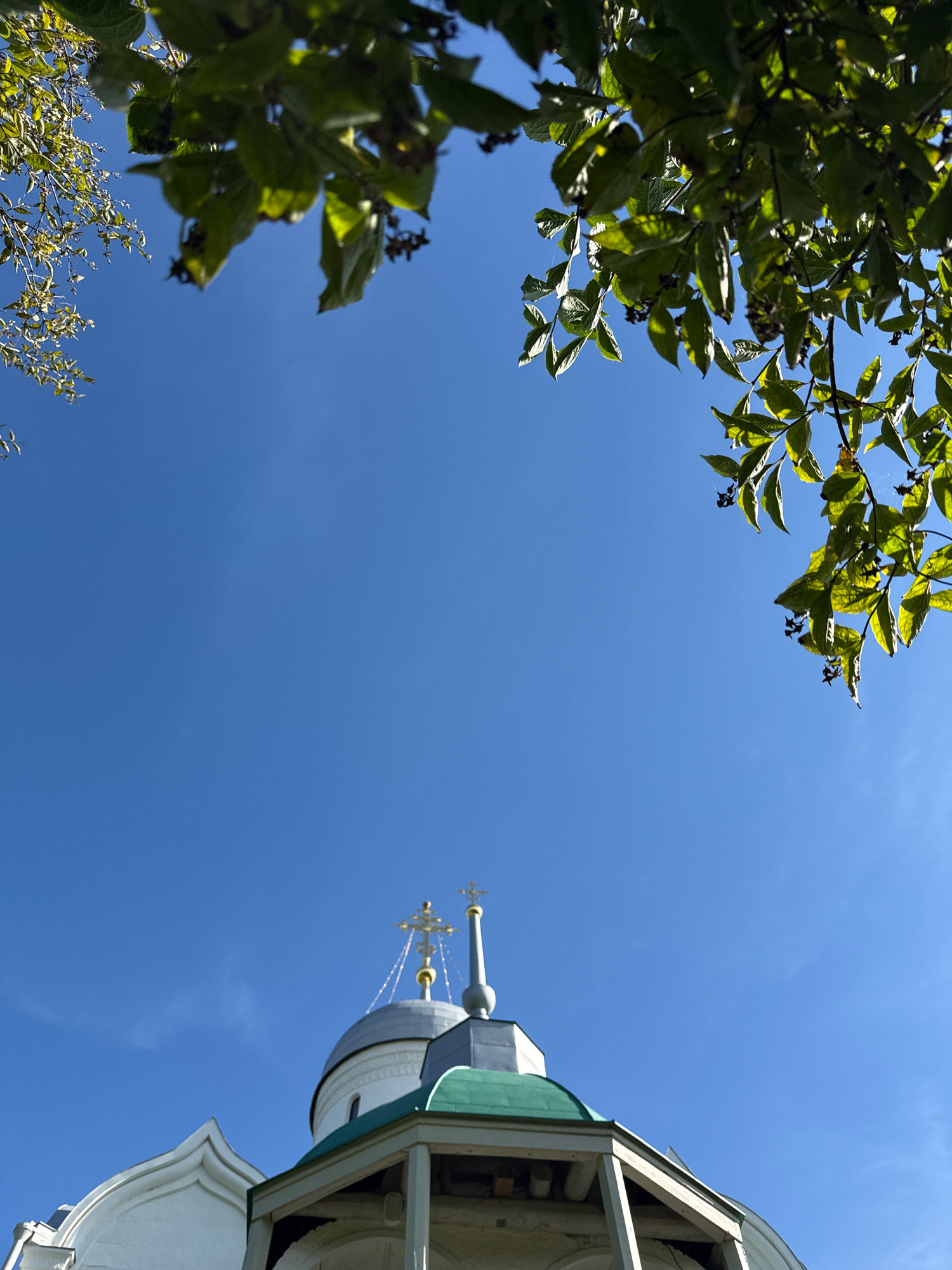An upward view of the Savvino-Storozhevsky Monastery in Zvenigorod, Russia, is framed by green foliage under a clear blue sky. The foreground features leaves and branches of trees, with some appearing autumnal. Dominating the lower portion of the image are the distinct architectural elements of the monastery, including a white facade with a curved gable, a grey-domed structure topped with a gold cross, and a green roof supported by wooden beams. The scene is devoid of people and any discernible action. The lighting suggests it is daytime, with sunlight illuminating the monastery and casting shadows on the foliage.