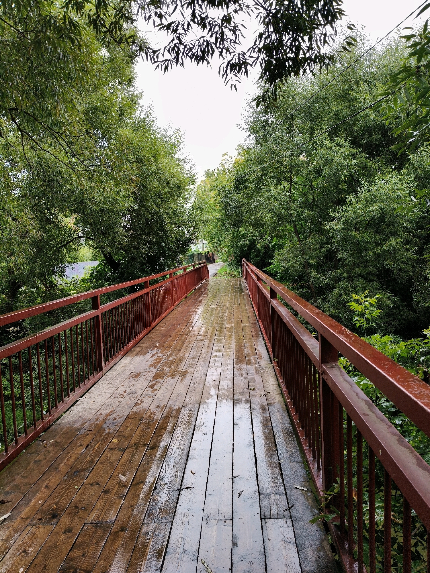The image depicts a wet wooden bridge with a red metal railing, leading into a dense, green forest. The wooden planks of the bridge are glistening from recent rain, and a few fallen leaves are scattered on the surface. The railing, also wet, has a dark reddish-brown color. Trees with lush green foliage form a dense canopy overhead, casting shadows on the bridge. The sky is overcast and appears bright, suggesting a cloudy day. The perspective is from the beginning of the bridge, looking straight ahead down its length. This scene is consistent with the nature trails and bridges found in the vicinity of Naro-Fominsk, Russia, often near rivers or wooded areas, used for recreation and exploration. There are no people or animals visible in the image.