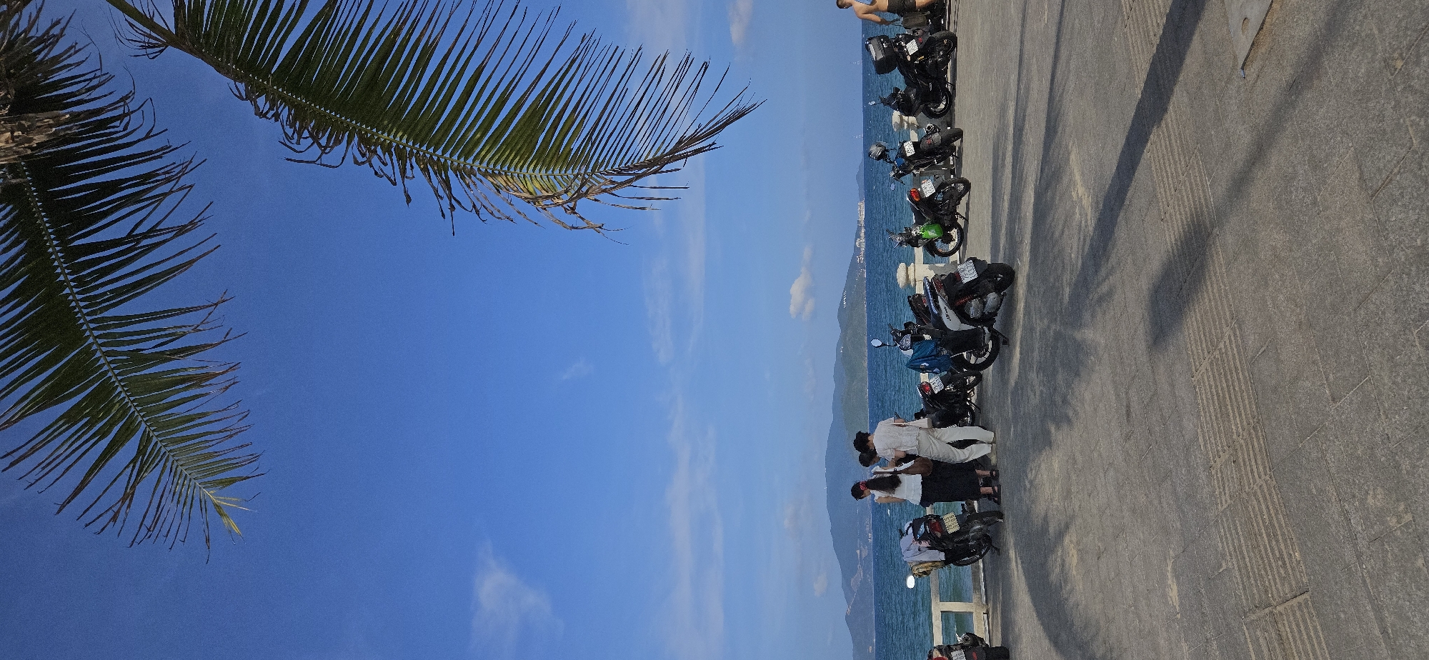 On a sunny day in Nha Trang, Vietnam, a row of parked motorbikes lines a gray concrete walkway adjacent to the sea. People are gathered near the motorbikes, appearing to converse and observe the scenery. The blue sea stretches towards a distant, hazy mountain range. A palm frond hangs into the view from the upper left corner, contrasting with the clear blue sky and scattered clouds.