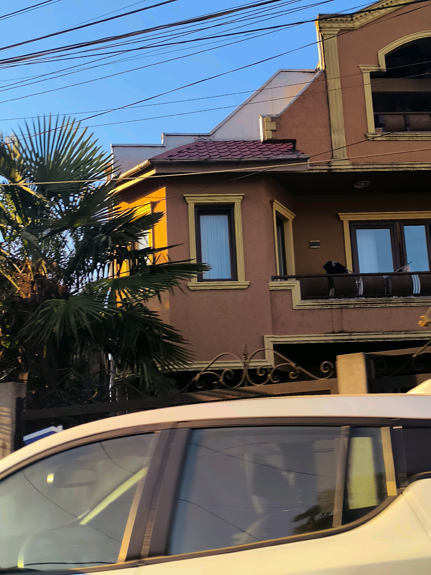 This image captures a section of a multi-story building with a light brown facade and decorative yellow trim, situated in Salibauri, Georgia. The building features multiple windows, some with dark frames and curtained interiors, and balconies. A palm tree with large fronds is prominent in the foreground, partially obscuring the building. Overhead, numerous power lines crisscross the bright blue sky. The lower part of the image shows the rear of a white vehicle, with its windows reflecting the surrounding environment. The scene appears to be set during daylight hours.