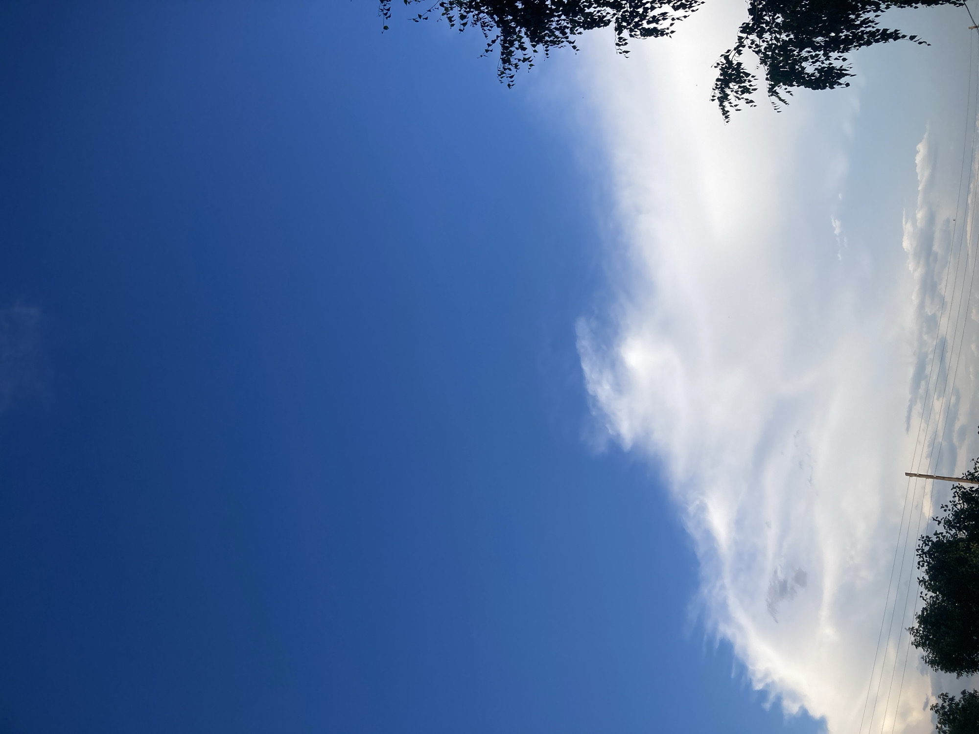 The image shows a sky with white clouds against a bright blue background. In the lower right corner, the silhouette of a tree with dark leaves is visible. The bottom of the image reveals the tops of trees and power lines, suggesting an outdoor, possibly rural or suburban, setting. The overall scene captures a moment of natural beauty in the sky.