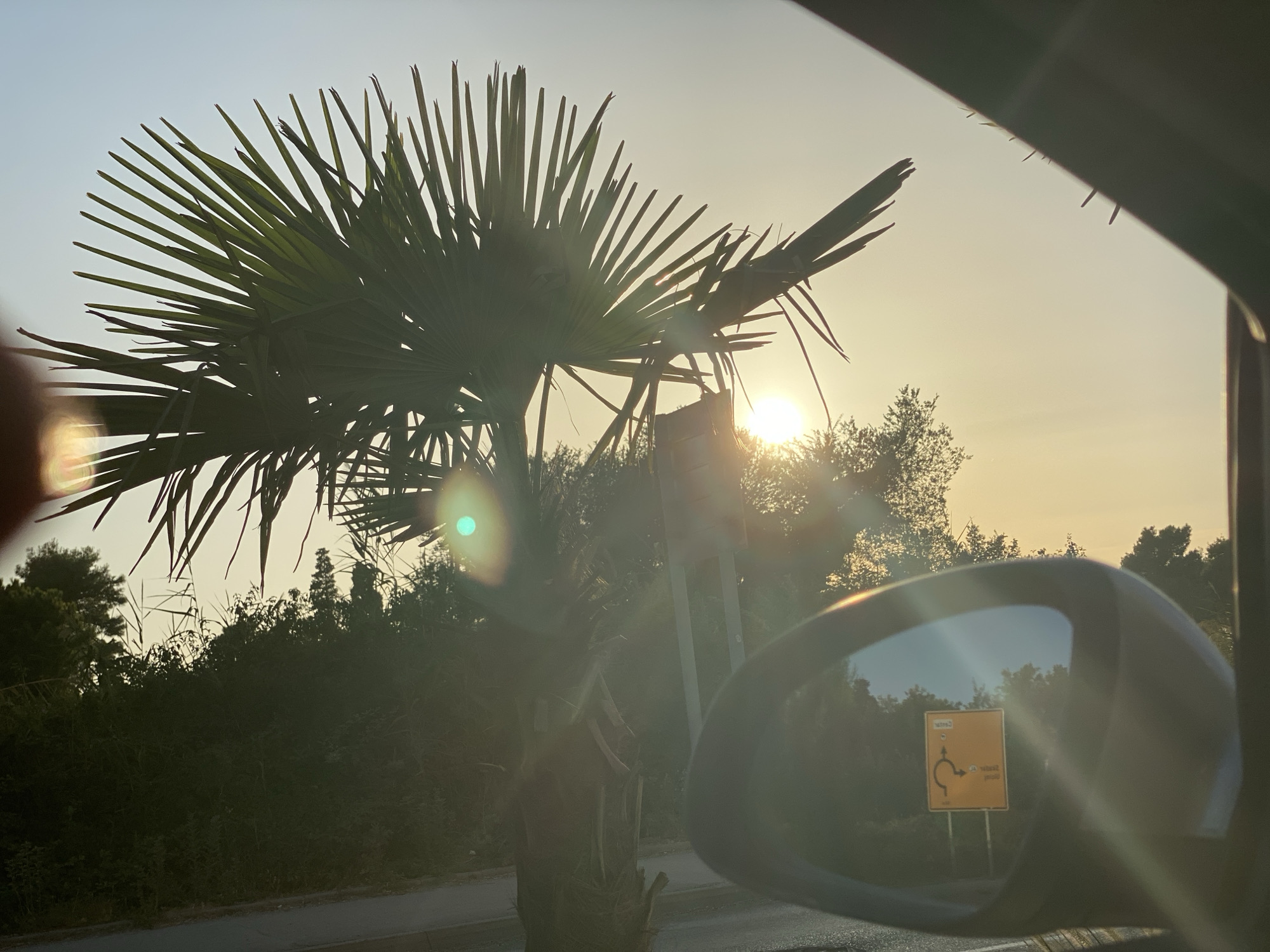 The image captures a view through a car window, focusing on a palm tree silhouetted against a hazy, orange-toned sky, likely at sunset. The sun is visible as a bright, diffused orb. In the foreground, the edge of the car's interior and a side mirror are visible. The side mirror reflects a yellow road sign depicting a roundabout with arrows indicating traffic flow, along with some text that is difficult to decipher but appears to be in a European language. Dense foliage and trees form a dark backdrop behind the palm tree. The overall scene suggests a roadside setting in a warm climate. The location is identified as Bar, Montenegro, known for its Mediterranean climate and coastal scenery, which would be consistent with the presence of palm trees and the overall aesthetic.