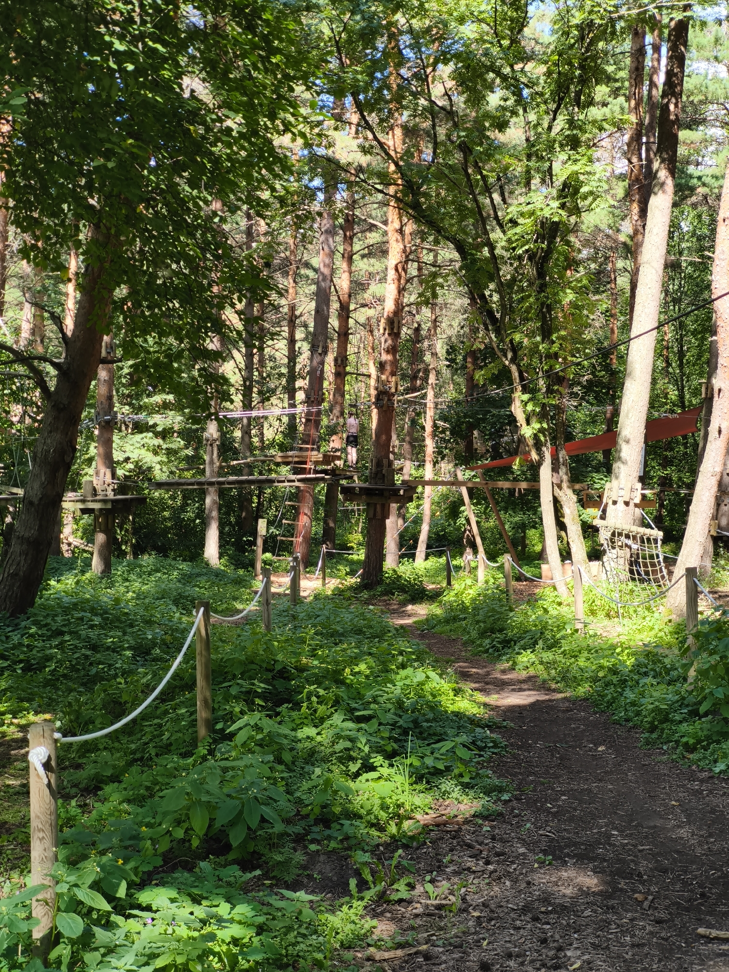 The image depicts an adventure park set within a dense forest. A dirt path, partially shaded by trees, winds through the scene. On either side of the path, wooden posts with white ropes demarcate the trail. In the background, a series of elevated wooden platforms are connected by various obstacles, including rope bridges and nets, suggesting an aerial adventure course. One person, wearing a striped shirt and dark shorts, is visible on one of the platforms. The surrounding environment is lush with green foliage and tall trees, indicating a natural, possibly well-maintained, park area. The lighting suggests it is daytime, with sunlight filtering through the tree canopy. Without additional information, the specific location within Tallinn, Estonia, cannot be determined from the image itself, but it is consistent with outdoor recreational facilities found in such a city.