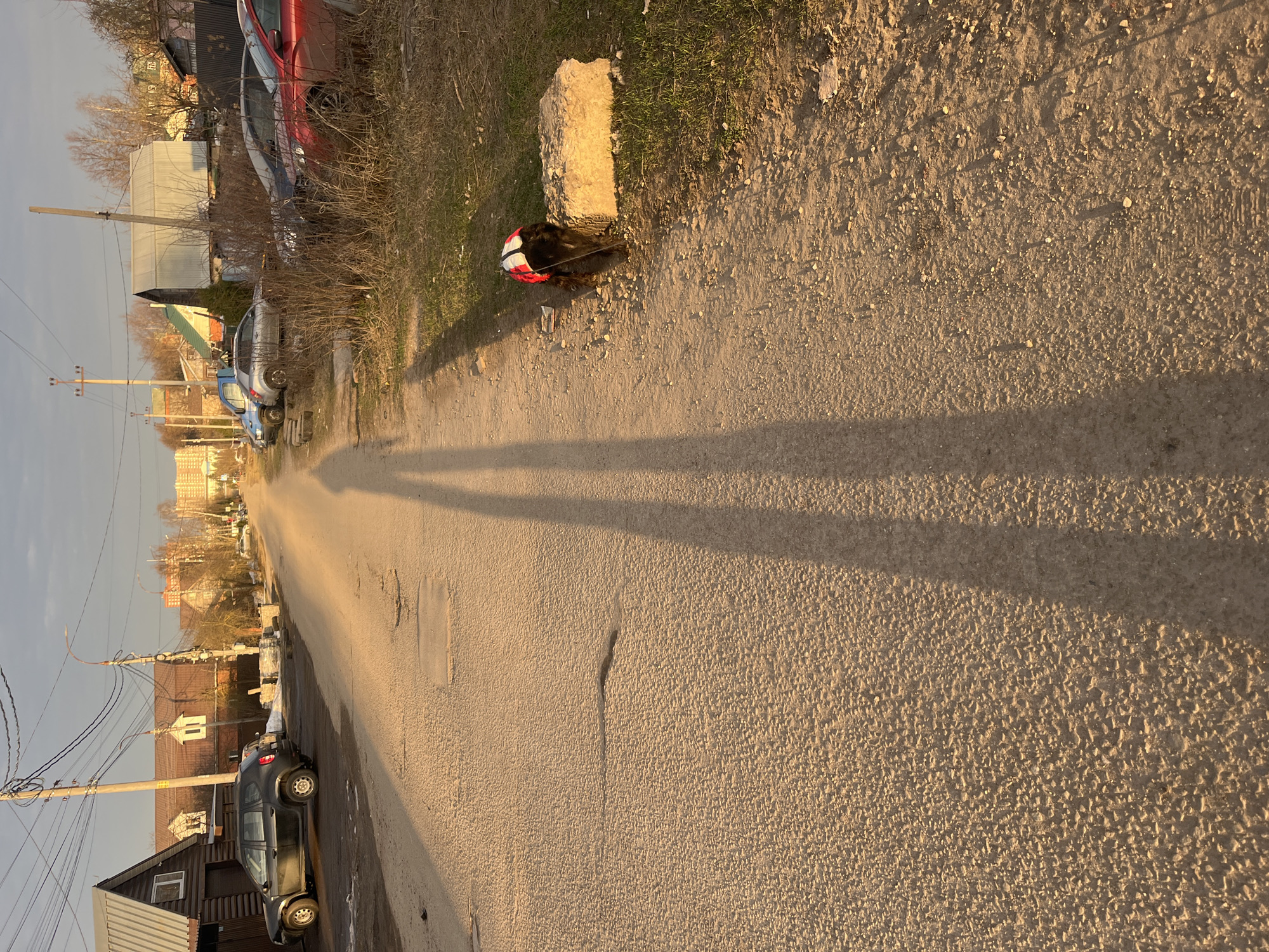 The image shows a street in a suburban or rural area of Podolsk, Russia. The road surface is unpaved and textured. Shadows from unseen objects extend across the road. A brown animal is near a stone. The scene includes various houses, cars, and power lines.