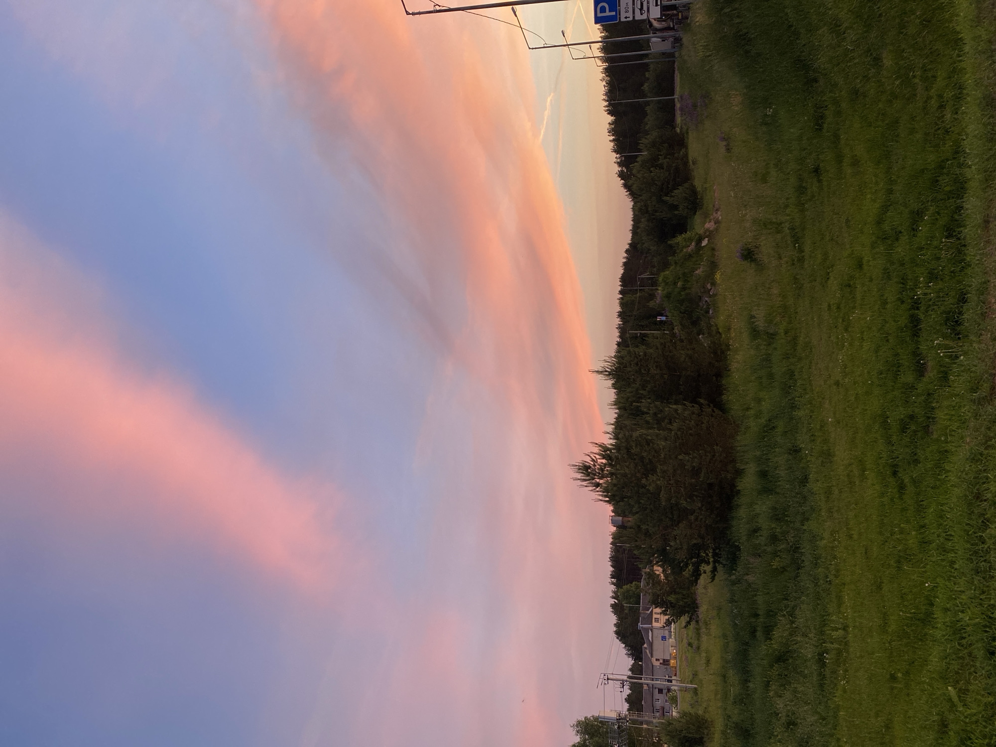 The image depicts a rural or suburban landscape under a twilight sky, characterized by soft pink and blue hues. In the foreground, there is a field of tall green grass. A line of trees forms a dark canopy across the middle ground, with a few scattered buildings and utility poles visible to the left. To the right, a street light and a parking sign are present. The sky dominates the upper portion of the image, featuring wispy clouds tinged with pink, indicating either sunrise or sunset. The location is identified as Sazonovo, Russia.