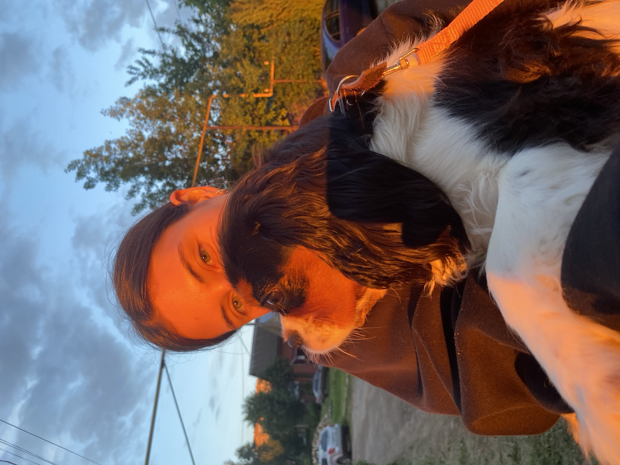 A woman is holding a Cavalier King Charles Spaniel dog outdoors in Votkinsk, Russia. The woman's face is illuminated by the golden light of either sunrise or sunset. The dog's coat is a mix of black, white, and brown. A leash is visible on the dog. In the background, there is a building, trees, and cars parked on the street, under a cloudy sky. Powerlines are visible in the background.
