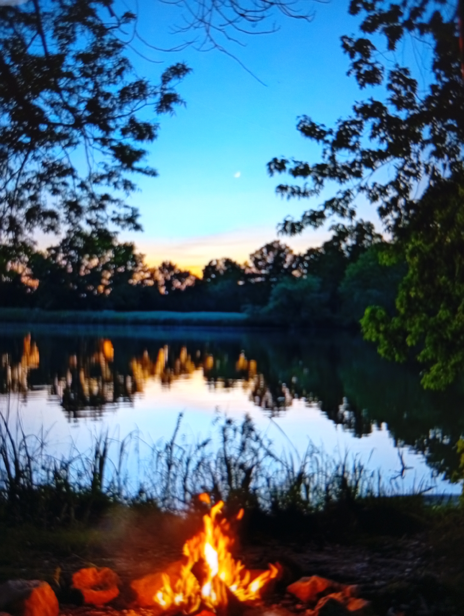 The image shows a serene lakeside scene at dusk. In the foreground, a campfire burns brightly, casting a warm glow on the surrounding rocks and dry grass. Beyond the campfire, tall reeds and thin branches line the edge of a calm lake, which reflects the twilight sky and the silhouettes of trees. The sky is a gradient of deep blue at the top, fading into hues of orange and yellow near the horizon, indicative of a sunset. The background is dominated by a line of dense trees, their shapes softened by the fading light. The overall atmosphere is peaceful and natural. The location is described as being in the city of Esik, Kazakhstan.