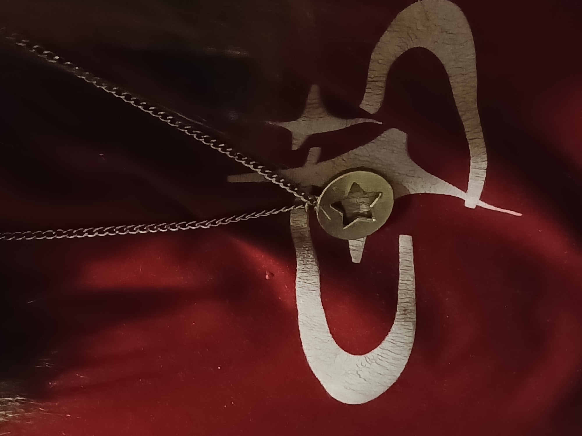 The image presents a close-up view of a metal necklace resting on a rich, dark red fabric surface. The necklace features a fine, silver-toned chain and a circular pendant made of a brass-like material. The pendant is distinguished by a neatly cut-out five-pointed star in its center.
The background fabric appears to be velvet or a similar soft material, showing a subtle sheen and deep color, suggesting an indoor setting. A prominent design in a light beige or off-white color is visible on this red fabric. This design consists of stylized, abstract shapes that have a textured, almost stenciled or embossed appearance. One large, curving element, reminiscent of a U-shape or an inverted horseshoe, occupies the lower right portion of the frame. Above and to its left, a more angular and complex shape is visible, which could be interpreted as a highly stylized letter 'G' or an abstract animal figure. The texture of this light-colored design appears slightly raised and coarse, providing a visual contrast to the smooth, soft background fabric.
The lighting is subdued, creating subtle shadows and highlights that emphasize the metallic qualities of the necklace and the tactile nature of the fabric and the patterned design. There is no activity taking place; the image is a still life focused on these objects. No discernible text is visible within the image. While the location context is Buenos Aires, Argentina, there are no specific visual cues in the image itself to confirm this geographical location.
