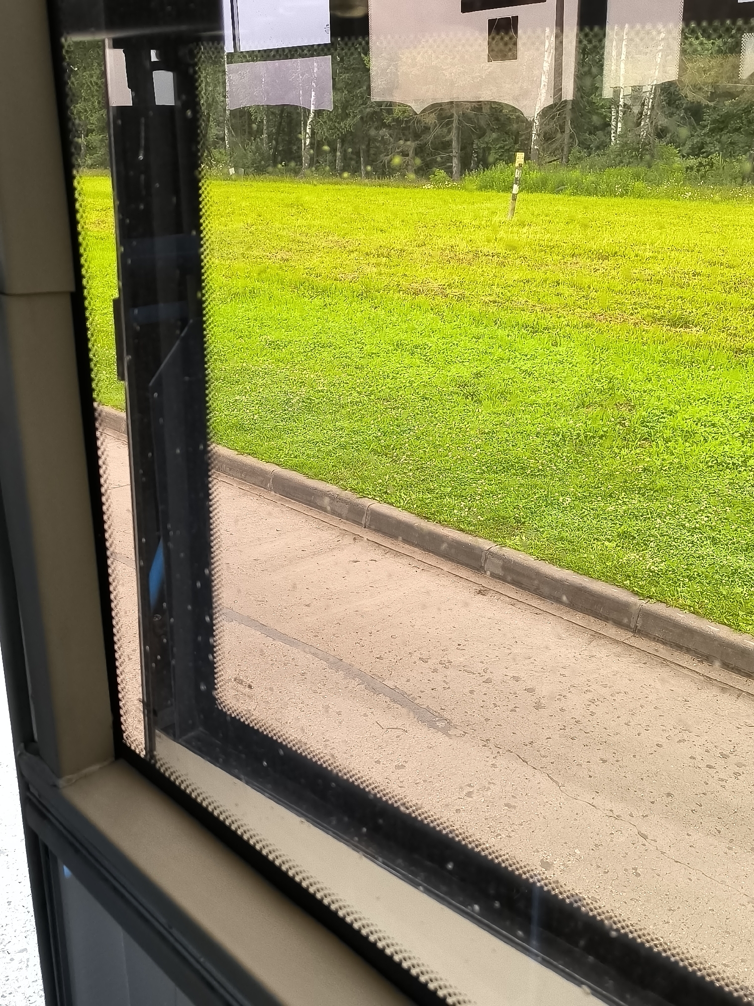 The image is taken from inside a vehicle, looking out through a window. The window has a textured black rubber seal along the bottom and right edges, and a gray frame. Outside the window, a paved area is visible, with a concrete curb separating it from a bright green lawn. The lawn appears well-maintained and is dotted with small white flowers. In the distance, trees form a dense line, and beyond them, the reflection of a building with windows can be seen on the glass of the vehicle. A yellow sign on a pole stands in the middle of the lawn, with some illegible text on it. The sky is overcast, suggesting a cloudy day. The lighting indicates it is daytime, possibly late morning or afternoon. There are no people visible in the image. The scene is tranquil and suggests an outdoor environment, possibly a park or a roadside area.