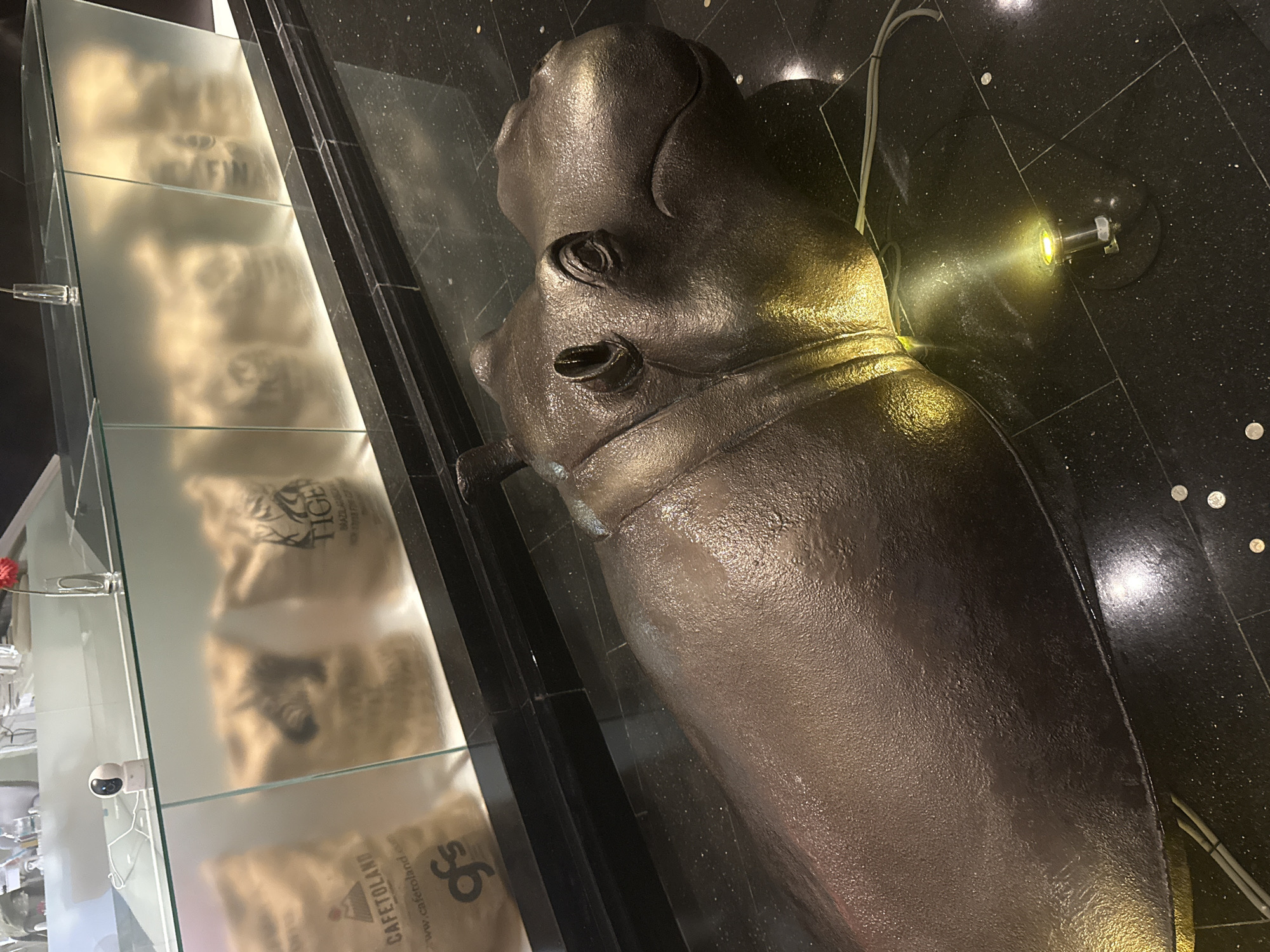 The image shows a bronze statue of a hippopotamus in a modern, urban setting. The hippo is positioned adjacent to a glass display case featuring coffee bags, one of which reads "CAFETOLAND." The statue is illuminated by a small spotlight, casting a yellow glow. The surroundings include a black, tiled floor speckled with silver or white spots. The scene appears to be indoors, possibly in a coffee shop, store, or public space. The location is Bangkok, Thailand.
