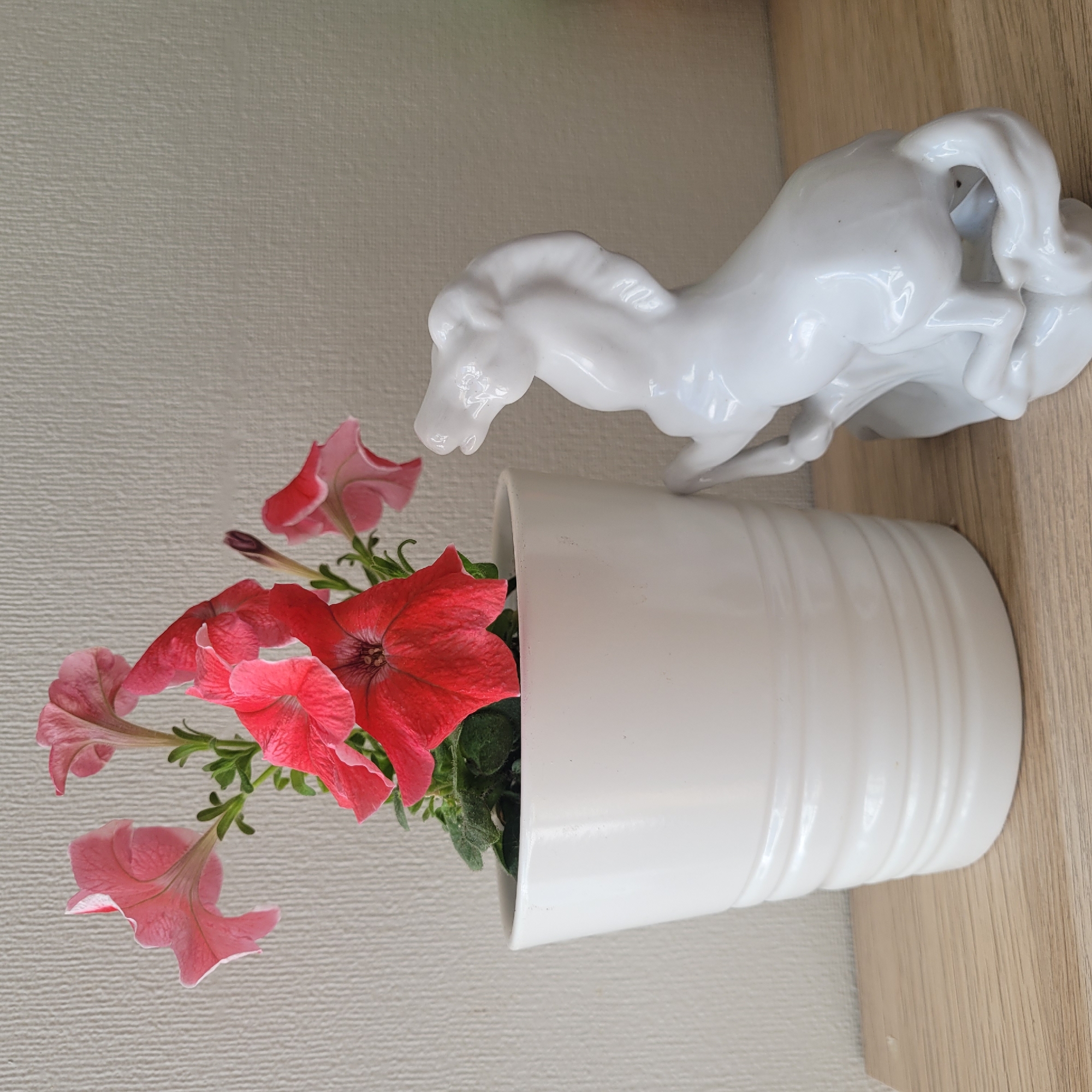 A close-up, eye-level, indoor shot displays a white ceramic flower pot containing pink and red petunias on a light brown wooden surface. To the right of the flower pot, a white ceramic horse figurine is positioned. The background consists of a textured off-white wall. The scene is well-lit, with natural light appearing to come from the left. The image does not depict any specific location in Jūrmala, Latvia, or any actions or interactions between people or subjects.