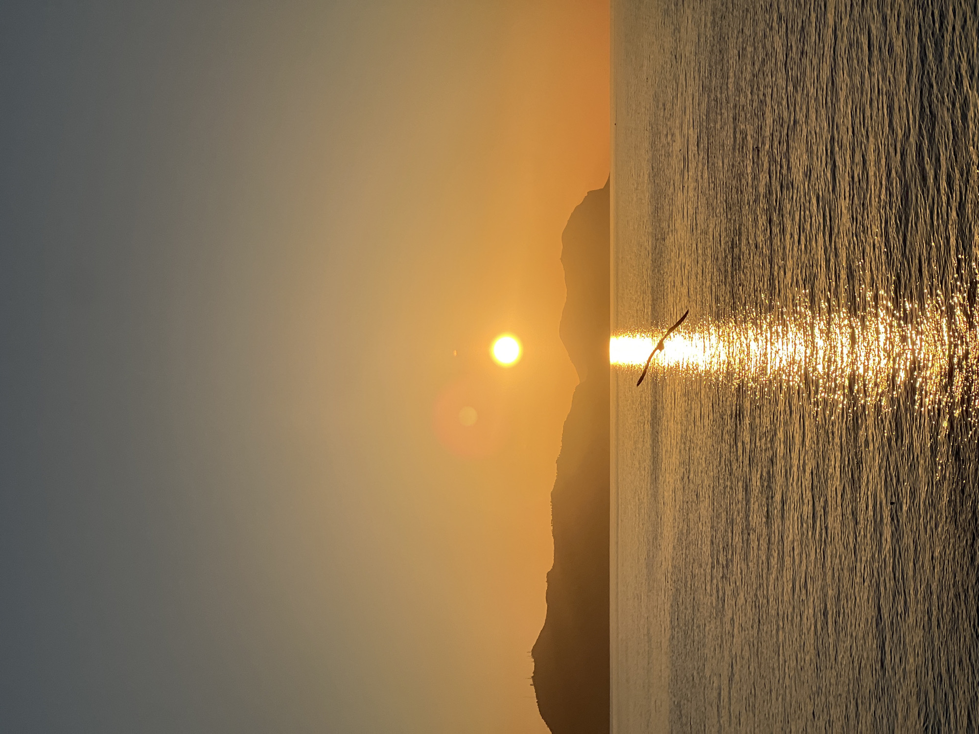 A golden sunset over the sea illuminates a tranquil scene. The sun, a bright orb with a lens flare, hangs low in the sky, casting a shimmering reflection across the water. Two silhouetted islands form the distant horizon, their peaks gently rising against the orange and gray gradient of the sky. A single bird is captured mid-flight, its wings outstretched, adding a dynamic element to the serene landscape. The water is calm, with subtle ripples reflecting the warm glow of the setting sun. This scene evokes the peaceful ambiance of a coastal evening, likely in or around Bagheria, Italy, where the sea meets the land.