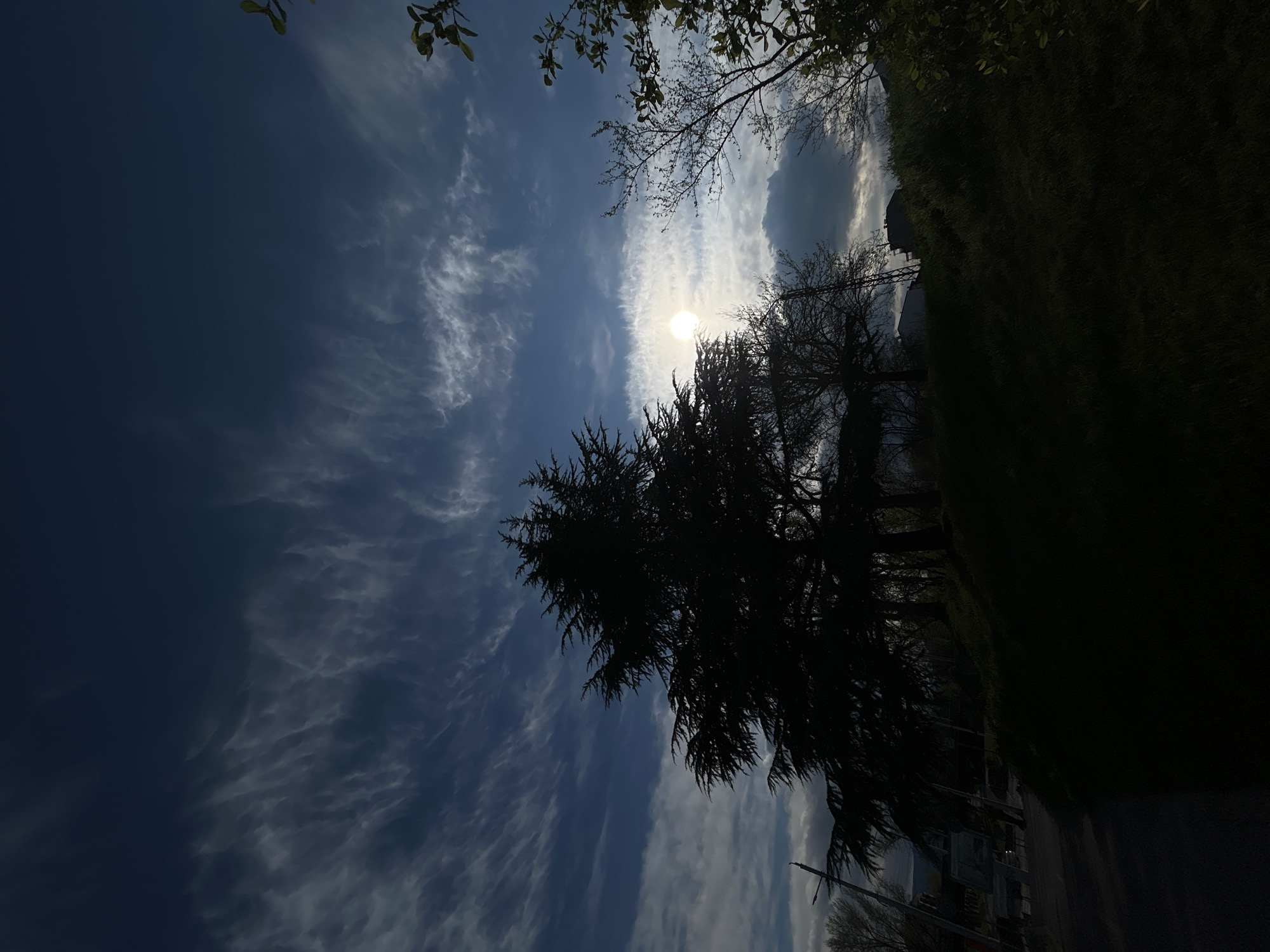 The image depicts a sky with wispy clouds and the sun shining through, partially obscured by trees. The trees are silhouetted against the bright sky. In the lower right of the image, there is a dark patch of grass, indicating a park area. There's also a glimpse of a building and some structures, suggesting a possible urban environment in the distance. The scene lacks specific details to identify a precise location within Plovdiv, Bulgaria.