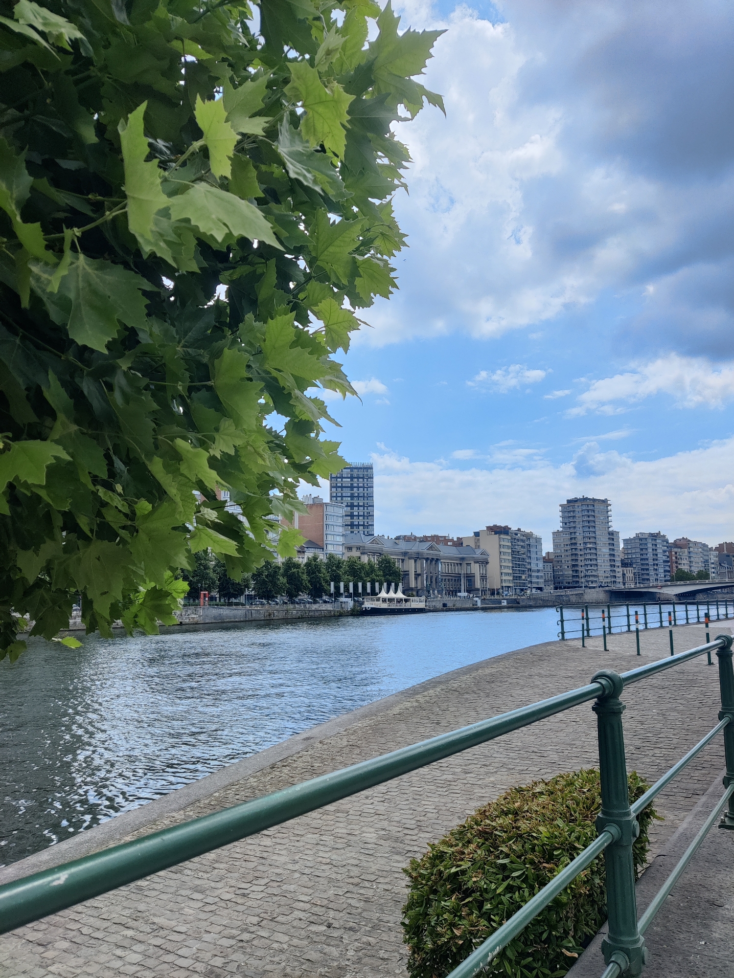 An outdoor, eye-level, vertical shot captures a riverfront promenade in Liège, Belgium, on a cloudy day. In the foreground, the left side of the frame is dominated by lush green foliage from a tree, its leaves partially obscuring the view. The promenade itself is paved with cobblestones, and a dark green metal railing runs along the edge of the river. A neatly trimmed green bush is situated near the railing. The river, a calm expanse of blue water, occupies the middle ground, reflecting the sky. Across the river, a city skyline is visible, featuring a variety of buildings including several tall, modern apartment blocks and a more classical-looking building with a grand facade. Trees line the riverbank on the far side, and a bridge can be seen in the distance. The sky above is a mix of blue patches and large, grey clouds. No people are present in the frame.