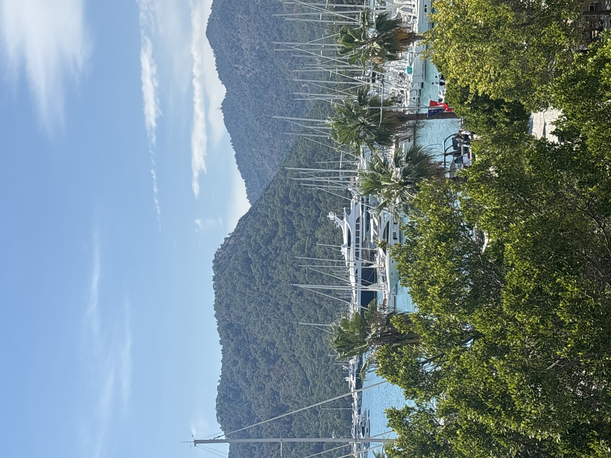 The image depicts a bustling marina in Fethiye, Turkey, a popular tourist destination. The foreground is dominated by lush green trees, their leaves creating a vibrant canopy. Beyond the trees, the azure waters of the harbor are filled with a multitude of yachts and sailboats, their tall masts creating a striking silhouette against the backdrop of verdant, tree-covered mountains. A large, luxurious white yacht is prominently docked among the vessels. The sky above is a clear blue, with a few wispy clouds scattered across its expanse. The scene captures the essence of a sunny day in a picturesque coastal town, with a clear emphasis on maritime activity and natural beauty.