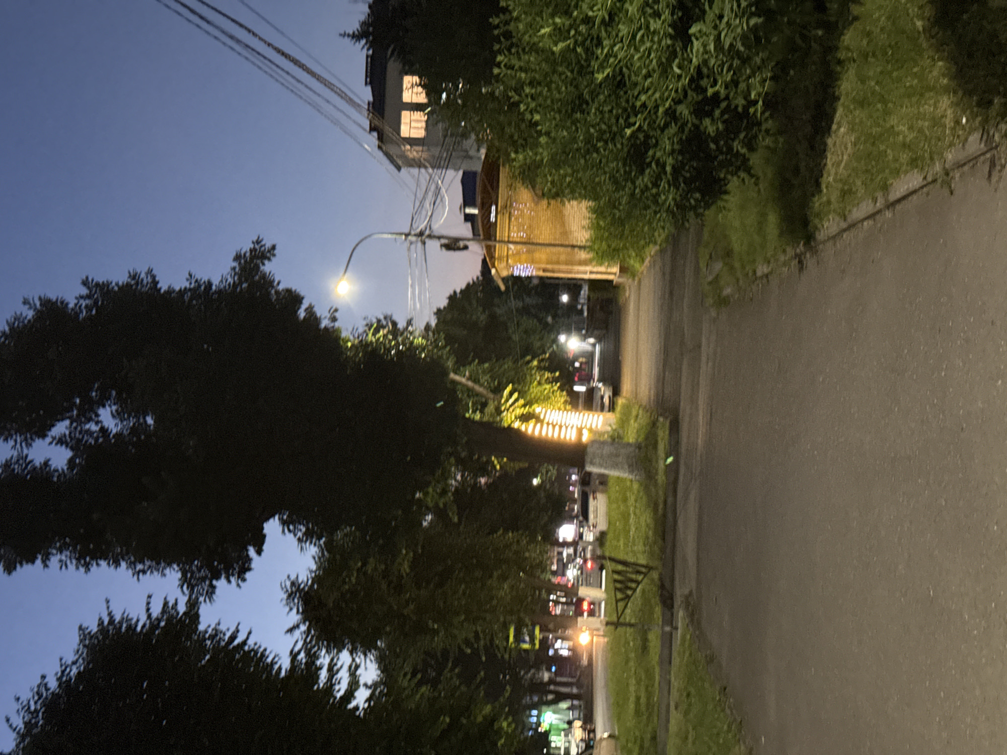 The image depicts a street scene at dusk in Vladikavkaz, Russia. The sky is a deep blue, transitioning to a lighter hue near the horizon. On the left side of the frame, silhouetted trees line the sidewalk. A street lamp casts a warm glow, illuminating a portion of the path. Beyond the trees, the faint lights of buildings and passing cars are visible, suggesting an urban environment.
In the middle ground, a paved sidewalk runs alongside a grassy area. A dark, triangular metal fence is visible within the grass. Further down the street, a small, brick building with a red-tiled roof is illuminated by string lights. Above and behind it, a multi-story building shows illuminated windows. The overall impression is of a quiet, early evening street in a residential or commercial area of the city.