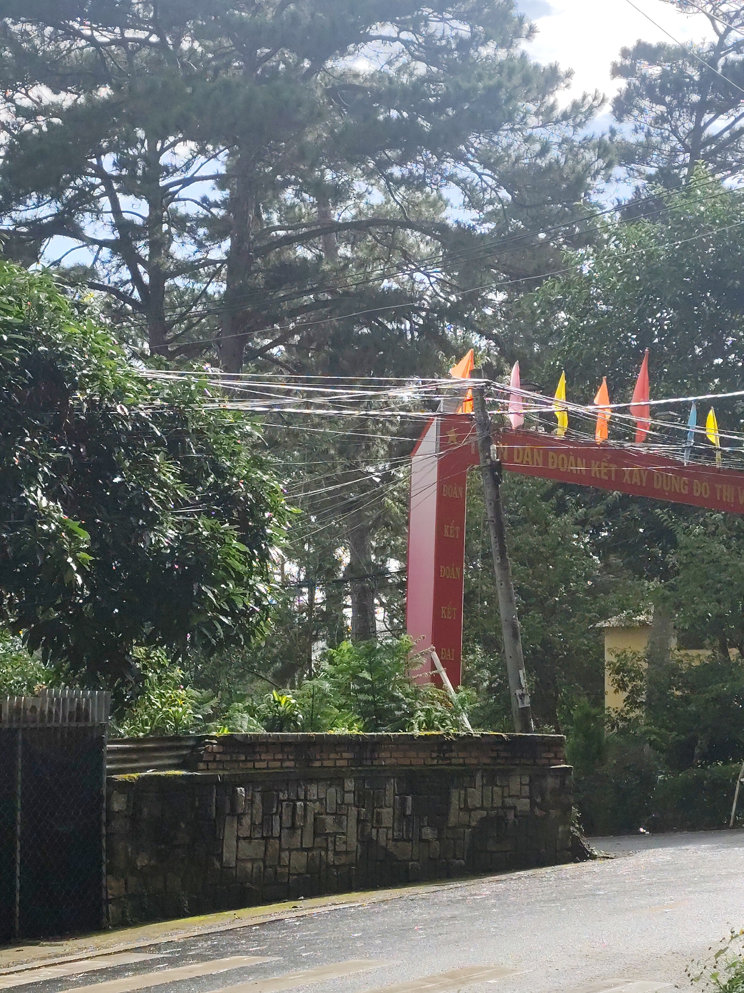 The image shows a red archway adorned with small, colorful flags in Da Lat, Vietnam. The archway has text written on it, possibly in Vietnamese. Behind the archway, tall pine trees dominate the background, with a bright sky peeking through the branches. In the foreground, a stone wall lines the side of a wet road, suggesting it may have recently rained. A black chain-link fence is visible to the left of the wall. The scene appears to be a quiet, possibly residential or park-like area in the city.