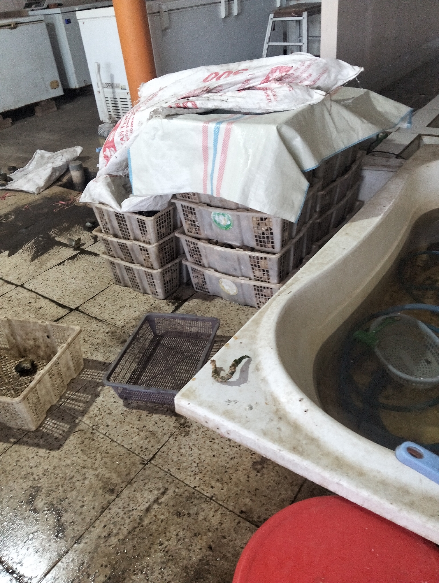 The image depicts a dimly lit indoor scene, likely a market or processing area in Muncar, Indonesia. In the foreground, a large, off-white bathtub filled with murky water is prominent. A blue handle is visible on the edge of the tub, and a small white sieve with a green object is submerged in the water. To the left of the bathtub, a stack of grey plastic crates is piled high, covered by a white tarp with red and blue stripes. Another white plastic crate, partially filled with water and debris, sits to the left of the crates. A dark grey rectangular basket is placed on the floor in front of the crates. The floor is tiled with a speckled pattern and appears wet and somewhat grimy. In the background, several large white refrigeration units are visible, along with an orange cylindrical pillar. Bags of what appear to be rice or other goods are stacked near the crates. The overall impression is one of a functional, possibly commercial, space that is somewhat unkempt. There are no people visible in the image.