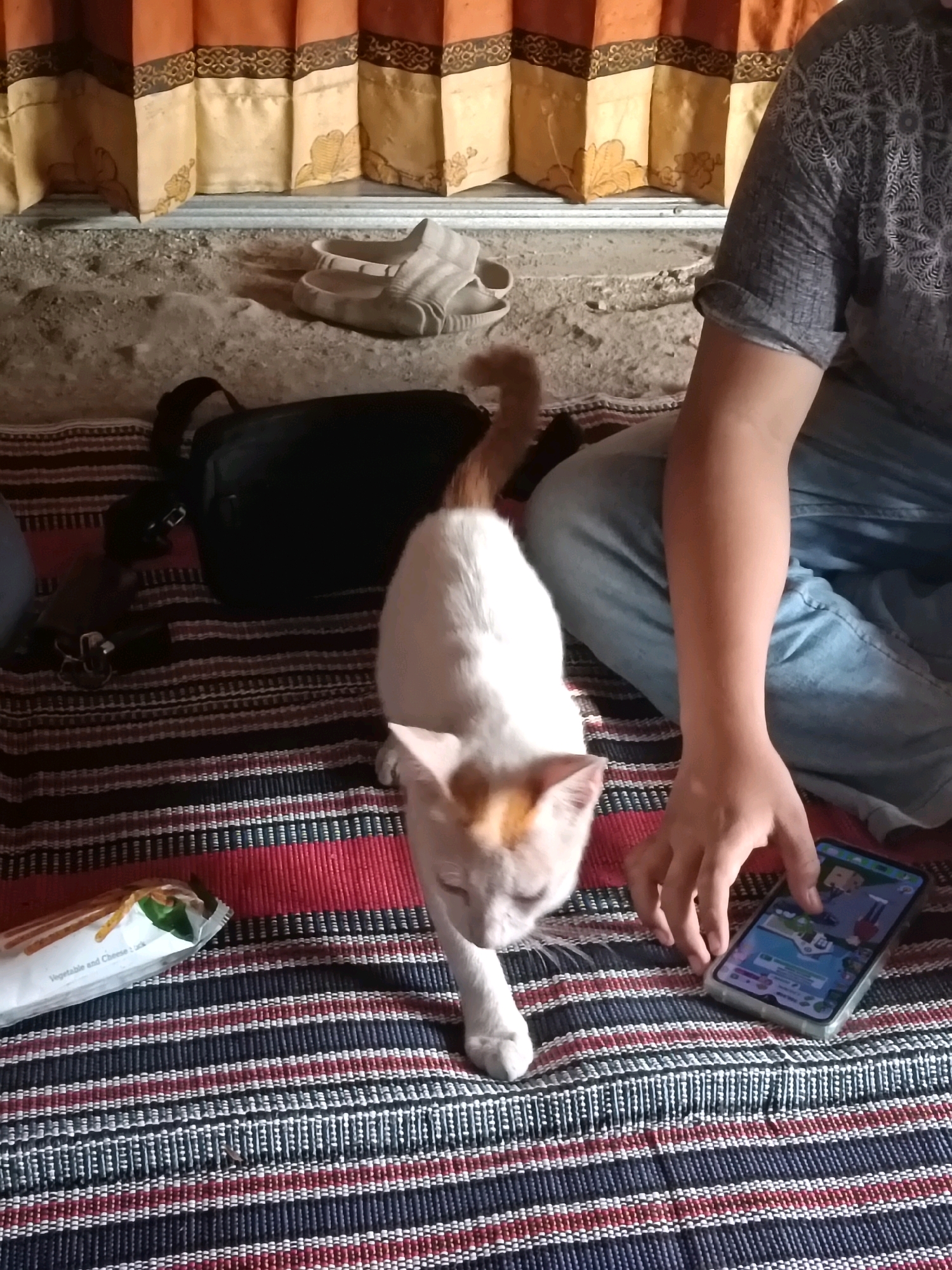 A person sits on a striped mat in what appears to be an outdoor setting, likely in Mendenrejo, Indonesia, given the sandy ground and woven curtains. The person is wearing a grey patterned t-shirt and blue jeans, and their arm rests on their lap, with fingers extended towards a smartphone displaying a game or app with cartoon characters. Beside the person is a black bag. A light-colored cat with orange markings on its head and tail walks across the mat, its gaze directed forward. In the background, light brown and orange curtains hang above a metal structure, and a pair of light-colored sandals rests on the sandy ground. To the left of the frame, a white packet, partially open and showing snacks inside, lies on the mat.