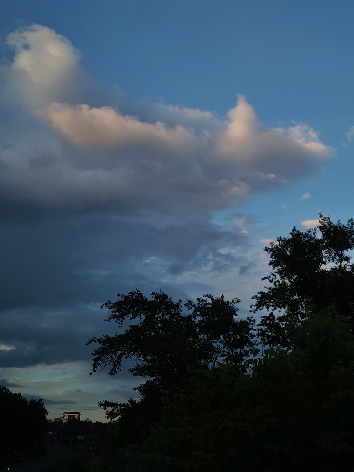 The image captures a view of the sky above Izhevsk, Russia. Above the dark silhouettes of trees, the sky transitions from dark, looming storm clouds to patches of light blue. A prominent cloud formation is visible in the upper portion, tinged with pink or peach on its edges, suggesting the influence of the setting sun. In the distance, silhouetted buildings indicate the location's urban setting. The composition suggests a scene at dusk or twilight.