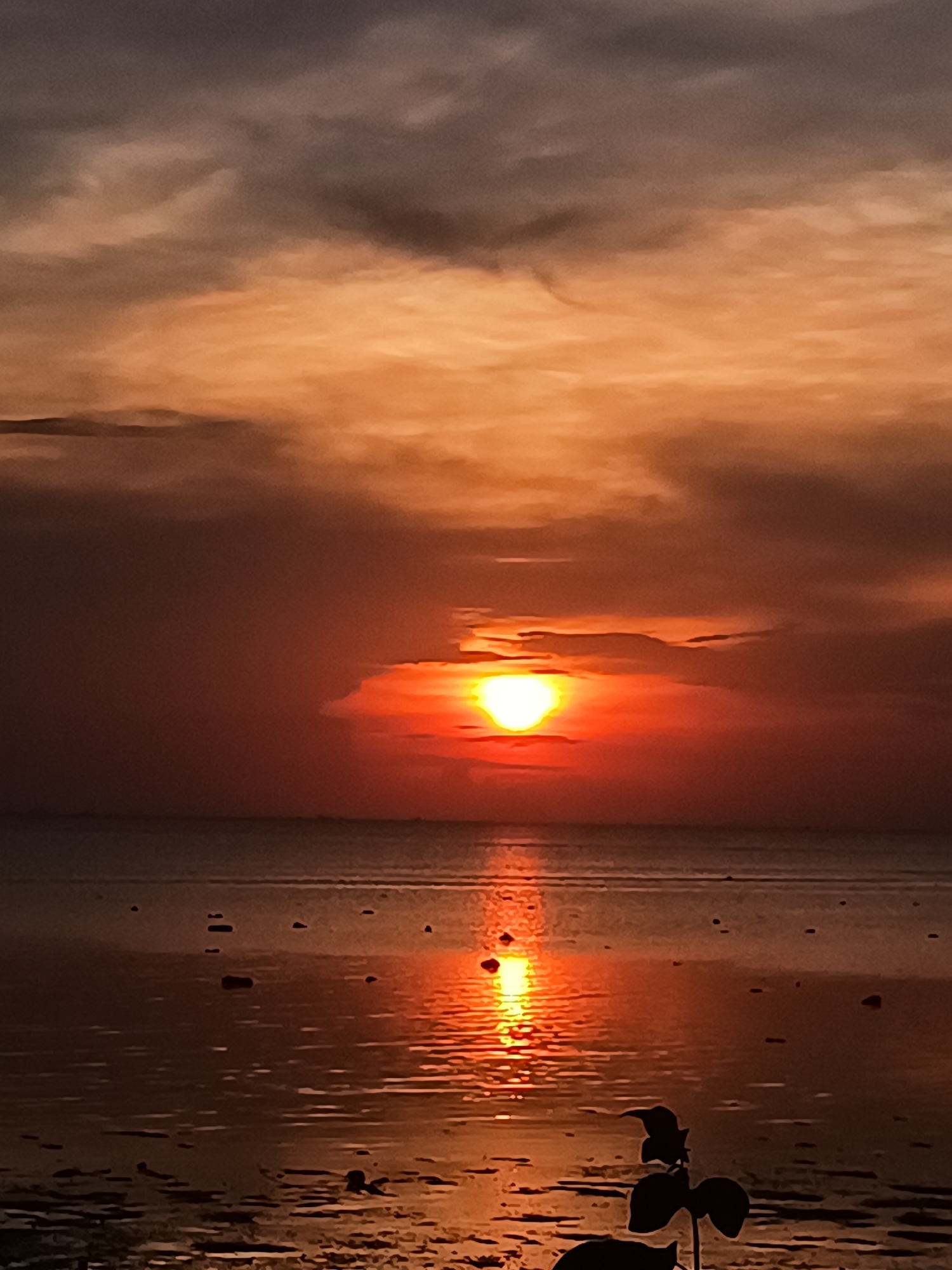 The image depicts a sunset over the ocean, likely in Baan Sri Thanu, Thailand. The sun is a bright, yellow-orange orb, partially obscured by clouds, casting a vivid red and orange glow across the sky and reflecting on the water's surface. The sky shows a range of colors from dark gray to orange, indicative of the setting sun. The water appears calm, with small rocks and potential tidal flats visible. In the foreground, the silhouette of a small plant is present, adding depth to the image.