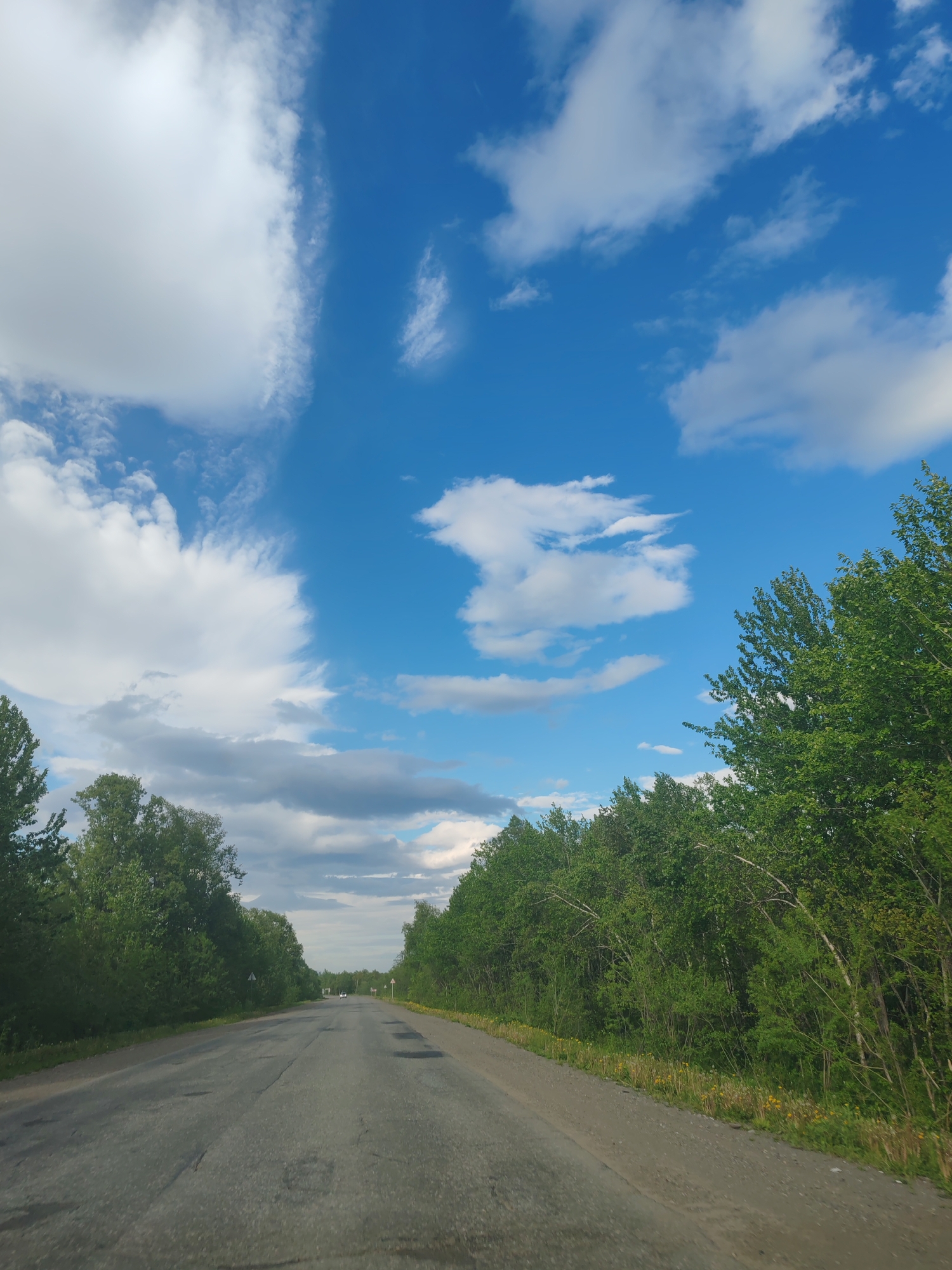 An eye-level shot captures a paved road in a rural setting, flanked by dense green trees on both sides. The road is cracked and appears aged, with some potholes visible. In the distance, a few cars are seen traveling, and road signs are present on the sides of the road. The sky above is a vibrant blue, dotted with scattered white clouds. The overall impression is of a clear, sunny day on an undeveloped road.