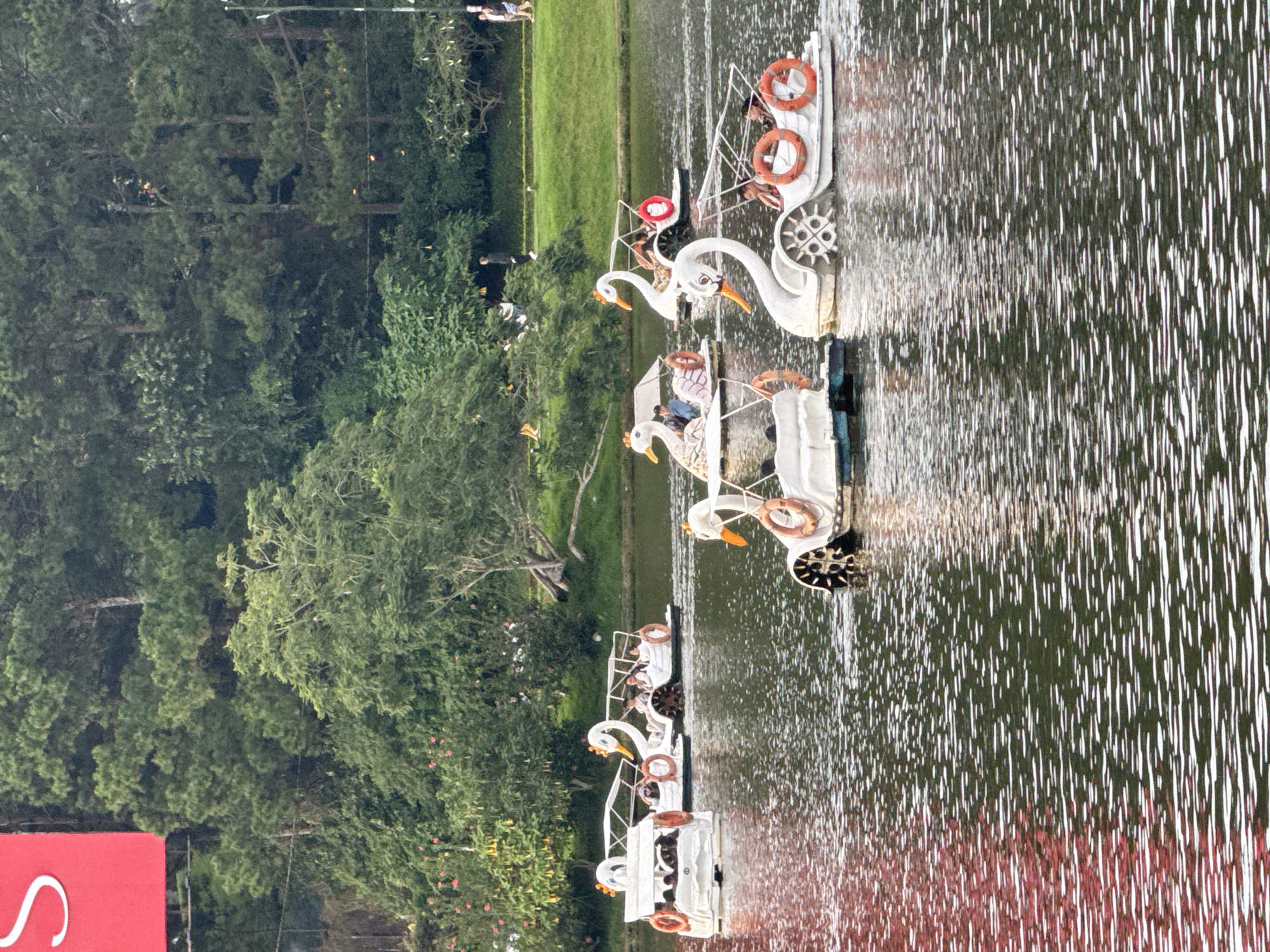 The image shows a scenic view of Xuan Huong Lake in Da Lat, Vietnam, during daytime. Several swan-shaped pedal boats are navigating the calm, reflective waters of the lake. The boats, predominantly white, feature orange accents on their beaks and life preservers. Some boats are occupied by people, suggesting leisure activities. In the background, lush green trees and vegetation line the shore, with hints of flowers adding pops of color. The overall atmosphere is serene and idyllic, typical of a popular tourist destination.
