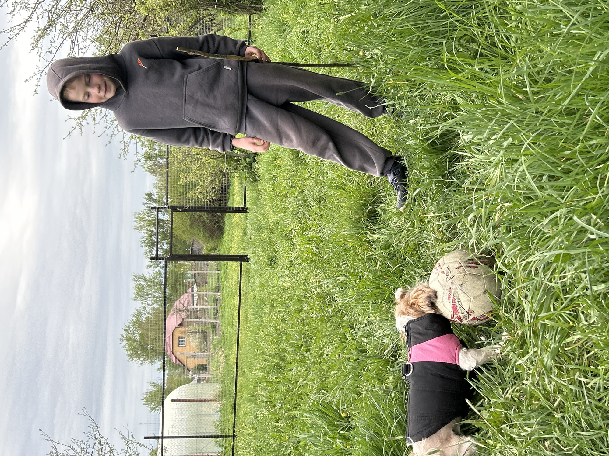A photograph depicts a young person and a small dog in a grassy area. The young person, wearing a gray hooded sweatshirt and matching pants, holds a stick. The dog, wearing a black vest with a pink stripe, is next to a soccer ball. A fence is visible in the background, with a house beyond it. The location is identified as Meshchovsk, Russia.