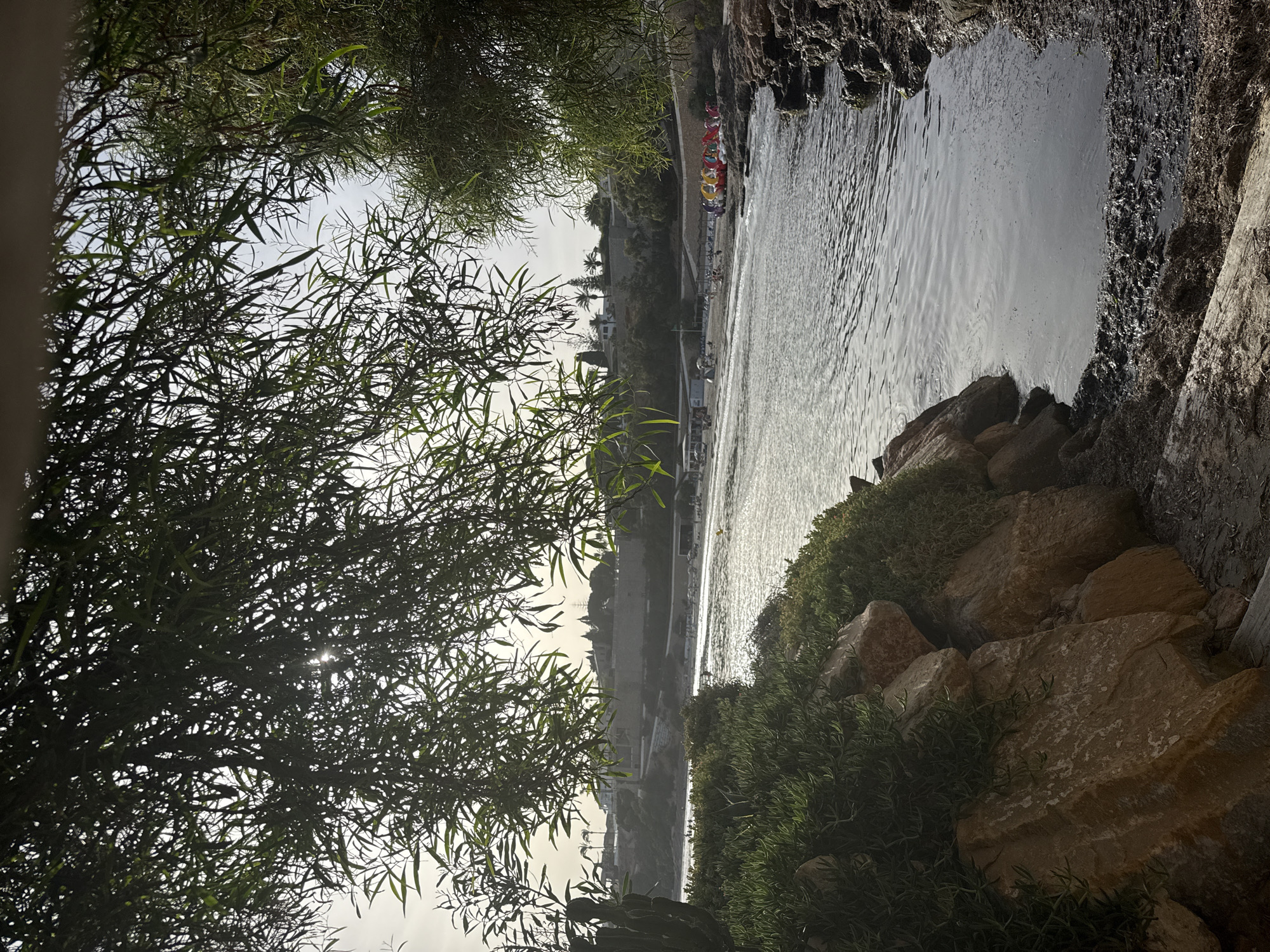The image depicts a coastal scene, likely at a beach or bay. In the foreground, rocks covered with green vegetation are visible, with a body of calm water to the right. The water appears to be a bay or inlet, with a sandy beach in the middle ground. On the beach, several colorful paddle boats are lined up, and a few people are scattered around, some seated under umbrellas or awnings. Further in the background, there is a town or city with buildings situated on a hillside, surrounded by trees and palm trees. The sky is overcast, suggesting it might be early morning or late afternoon. The overall atmosphere is serene and peaceful, hinting at a vacation or recreational setting. The scene does not contain any recognizable landmarks or identifying features that would allow for a precise location to be determined.
