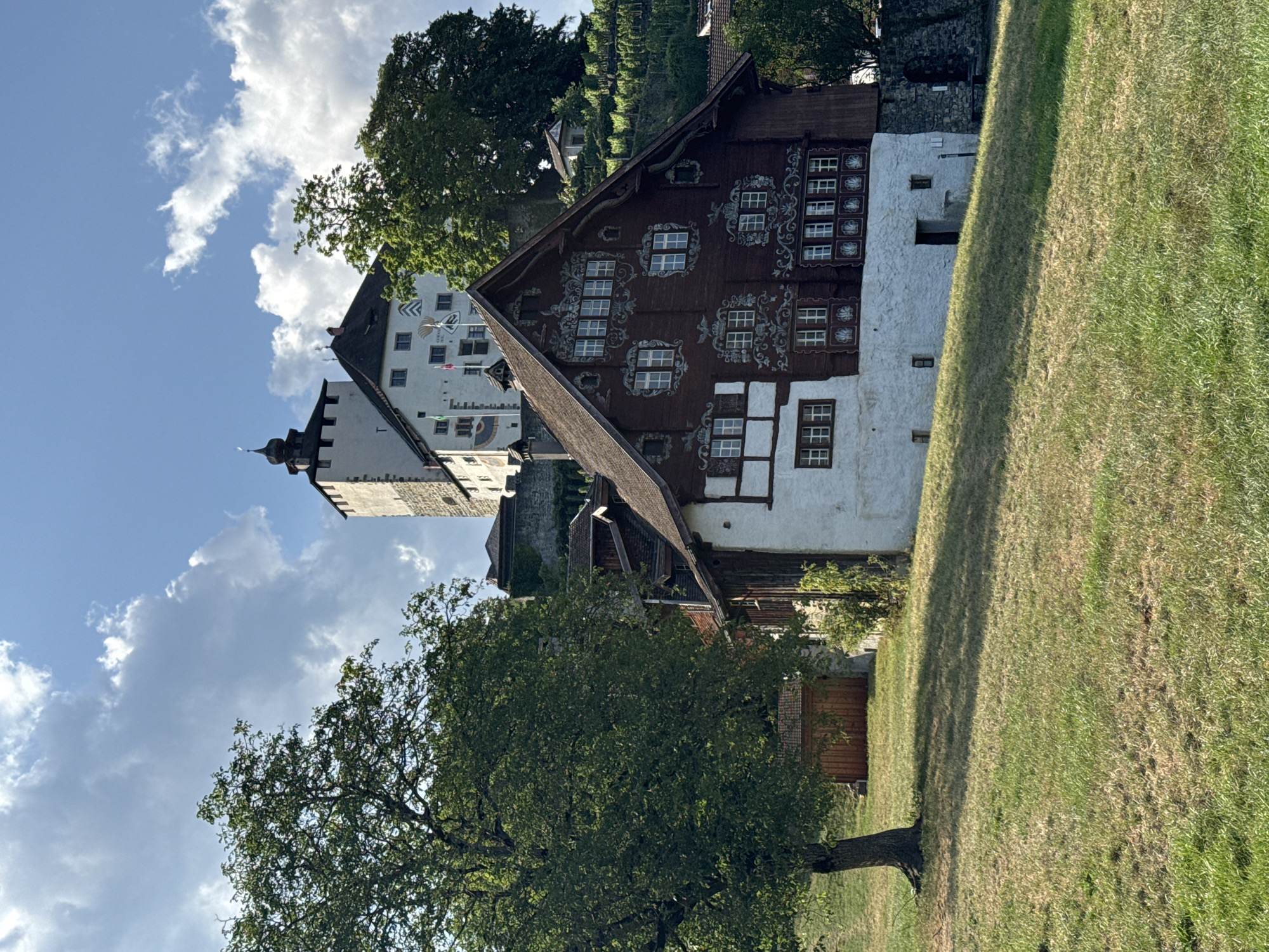 The image shows a multi-story building with a dark brown roof and white and dark brown walls, featuring ornate white decorative elements on the upper dark brown section. The building is situated on a grassy hillside. In the background, a larger, pale stone building with a dark tower and a peaked roof rises up the hill, partially obscured by trees. There are also terraced vineyards visible further up the slope. A large tree with lush green foliage stands on the left side of the frame in the foreground, casting a shadow on the grass. The sky above is blue with scattered white clouds. The scene appears to be set in a rural or semi-rural area. The building in the foreground is a traditional Swiss-style house with decorative woodwork. The castle in the background is a historical structure. The location is Buchs (SG), Switzerland, specifically the residential area below the castle.