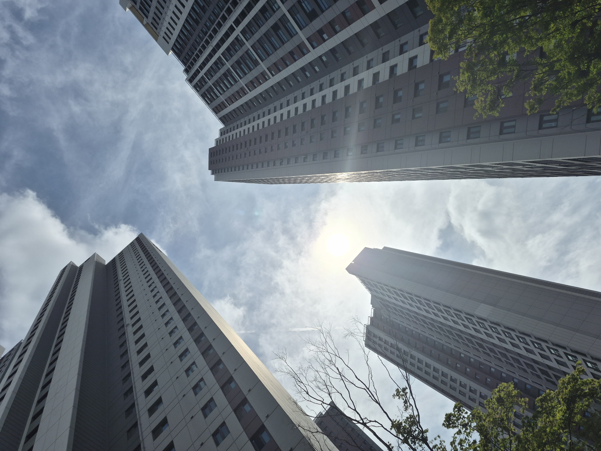 The image captures a low-angle view of several modern high-rise apartment buildings in the city of Ansan, South Korea. The architecture is characterized by repetitive window patterns and sleek, geometric facades in shades of gray and white. In the background, a bright sun partially obscured by clouds casts a lens flare across the sky, which is a mix of blue and scattered white clouds. Bare tree branches are visible in the foreground on the left, and lush green trees frame the bottom right of the image. The perspective emphasizes the towering height of the buildings against the expansive sky.