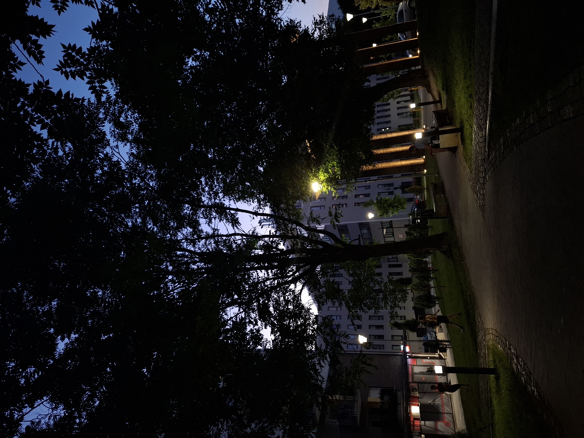 The image depicts a dusk scene in a newly developed urban area, possibly a residential complex, in Zemun Urban Municipality, Serbia. Tall, dark trees with dense foliage dominate the foreground, silhouetted against a twilight sky that transitions from deep blue at the top to a lighter hue near the horizon. Streetlights are illuminated, casting a warm glow on the paved walkway and the surrounding grassy areas.
In the background, a modern apartment building stands with numerous windows, some appearing lit from within. Adjacent to the building, structures with vertical, illuminated elements suggest either decorative pillars or an architectural feature. Several smaller trees and bushes are sparsely planted in the manicured lawn.
Two individuals are visible in the mid-ground on the left side of the image, appearing to be two children playing on the grass. Further down the path, another person is seated on a bench. The overall atmosphere is one of a quiet evening in a contemporary urban setting.