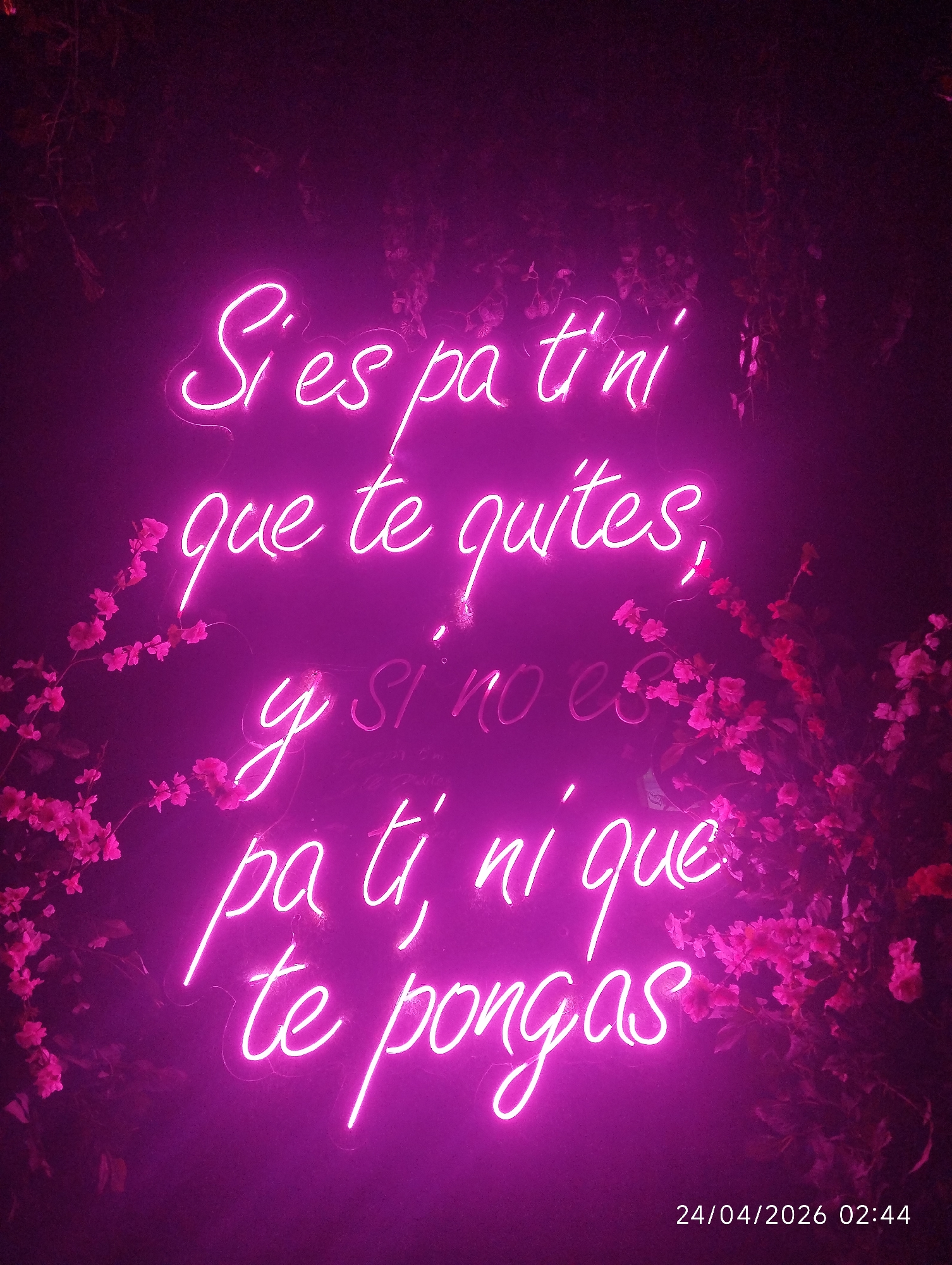 The image displays a vibrant neon sign with text in a flowing script, illuminated in bright pink, set against a dark background. The sign reads: "Si es pa ti, ni que te quites, y si no es pa ti, ni que te pongas." This Spanish phrase translates to "If it's for you, don't take it off, and if it's not for you, don't put it on," conveying a message about embracing what is meant for you.
Surrounding the neon text, and partially obscuring some parts of it, are numerous clusters of artificial or real flowers and foliage, also glowing with a complementary bright pink or magenta light. These floral elements contribute to a decorative and atmospheric setting. The dark background, possibly a wall or deep foliage, enhances the luminosity of the neon and floral lights, strongly indicating a nighttime scene or a dimly lit indoor space. The overall aesthetic suggests a modern, trendy, or artistic venue, such as a bar, cafe, or decorative installation. The mood conveyed is lively and striking due to the prominent pink glow.
No people are visible in the image. A digital timestamp in the bottom right corner indicates "24/04/2026 02:44," confirming the time as early morning.