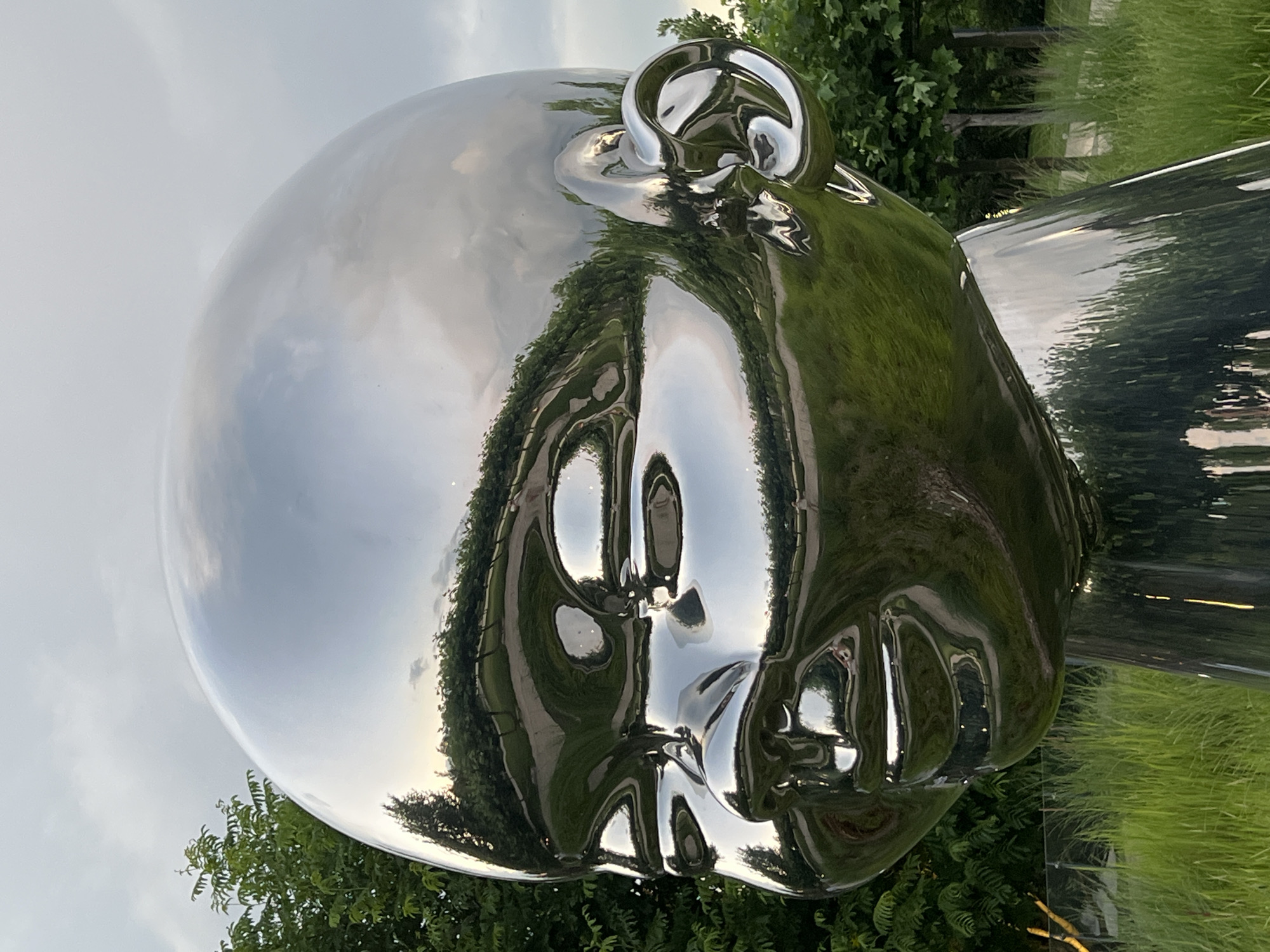 This is a close-up, eye-level, outdoor photograph of a large, shiny, chrome sculpture of a baby's head. The sculpture is highly reflective, mirroring the surrounding environment. The background consists of green grass and trees under a cloudy sky. The sculpture itself is smooth and polished, with distinct features such as closed eyes, a nose, and a mouth, creating a serene expression. The reflections on the sculpture show the sky, trees, and what appears to be a pathway or landscape. The location of this sculpture is not specified within the image or the provided text, and therefore cannot be determined to be in Krasnodar, Russia.