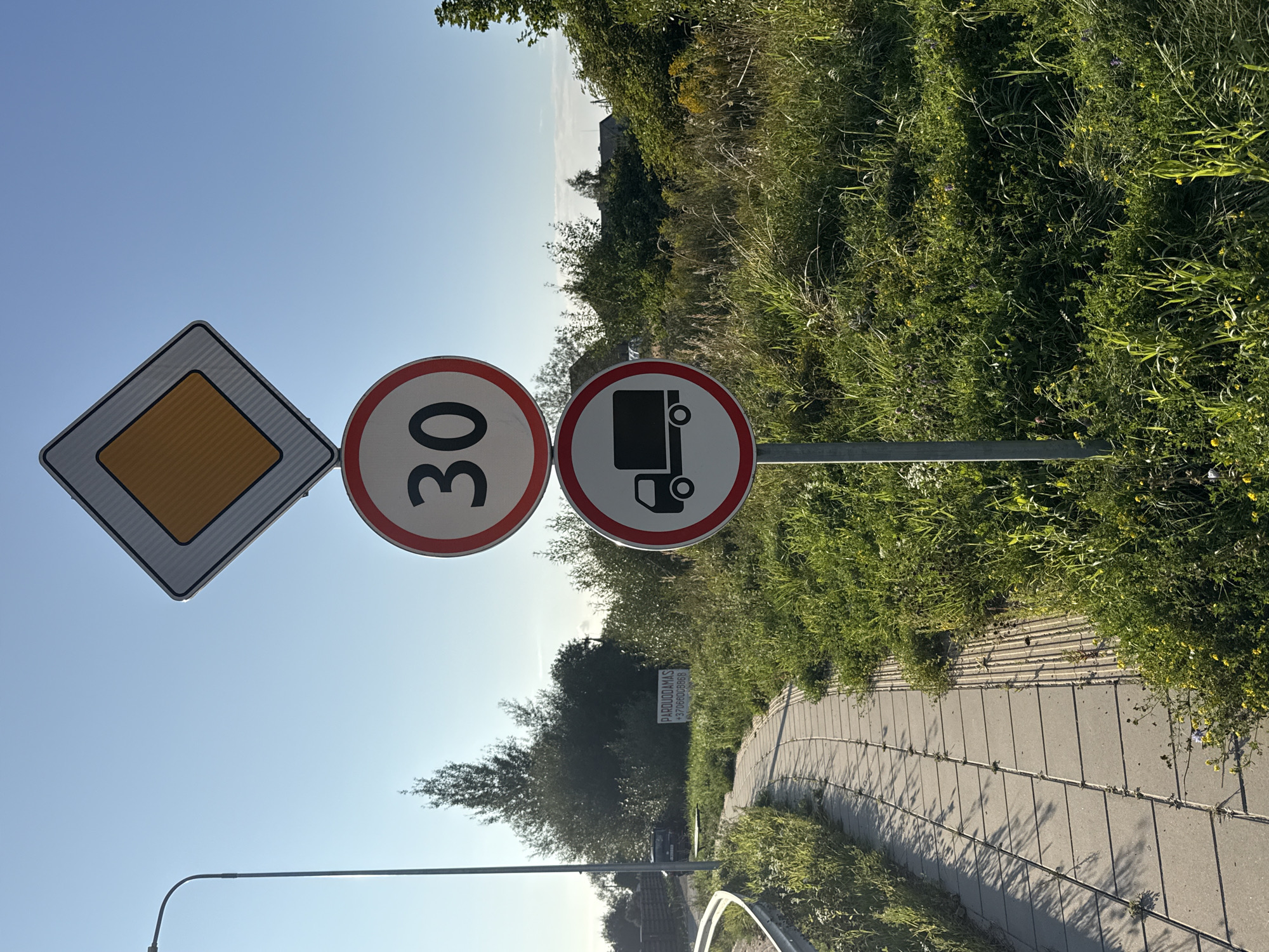 The image shows a road signpost with three signs. The top sign is a diamond shape with a yellow interior and a white border, indicating a priority road. Below it is a circular sign with a red border and a white background displaying the number "30" in black, signifying a speed limit of 30 kilometers per hour. The bottom sign is also circular with a red border and a white background, featuring a black silhouette of a truck, indicating a prohibition for trucks.

The signpost is located in Laidagaliai, Lithuania, by a paved sidewalk. The sidewalk curves to the left and is bordered by a metal barrier on its left and abundant green grass and vegetation on its right. In the background, there are trees, bushes, a black car parked behind some bushes, and a white sign with Lithuanian text and a phone number. The sky is clear and blue. The overall scene depicts a rural or suburban roadside environment.