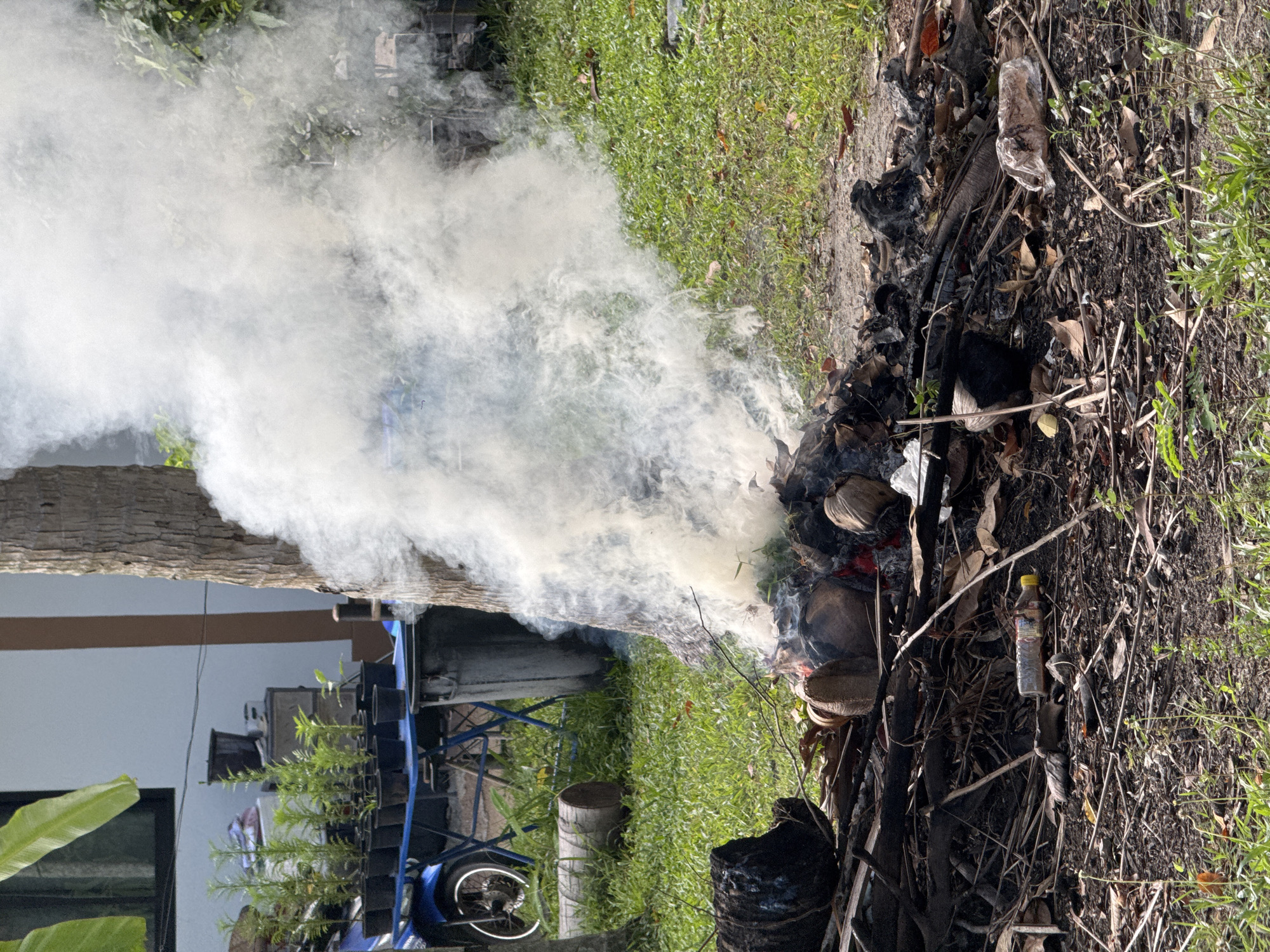 The image depicts an outdoor scene in Tambon Ko Pha Ngan, Thailand, where a bonfire is actively burning, producing a large plume of white smoke. The fire is situated on a patch of ground covered with dry leaves, twigs, and other burnt debris. Among the burning materials, several coconuts and pieces of dark, charred wood are visible. A plastic bottle with a yellow cap lies on the ground near the fire.
In the background, a green grassy area is present, with a tree trunk to the right of the smoke and another log on the grass to the left. Further back, a blue table is set up, holding multiple potted plants. A portion of a blue motorcycle is also visible on the left side of the frame. Behind the table, there is a structure with white walls and a dark window, and a tall, light brown pole. Lush green foliage and trees frame the scene, suggesting a natural or semi-rural environment. The overall lighting indicates a daytime setting.