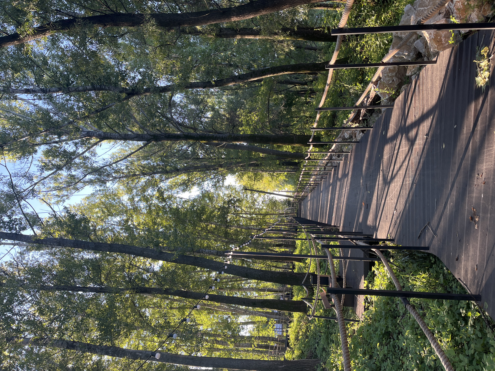 The image shows a wooden boardwalk extending into a forest. Tall trees with green foliage line both sides of the boardwalk, and string lights are hung between them. The boardwalk has a rope railing. The sun casts shadows on the boardwalk, indicating it is daytime. The scene appears to be an outdoor recreational area. The specific location in Blagoveshchensk, Russia cannot be determined from the image alone. There are no people visible in the image.