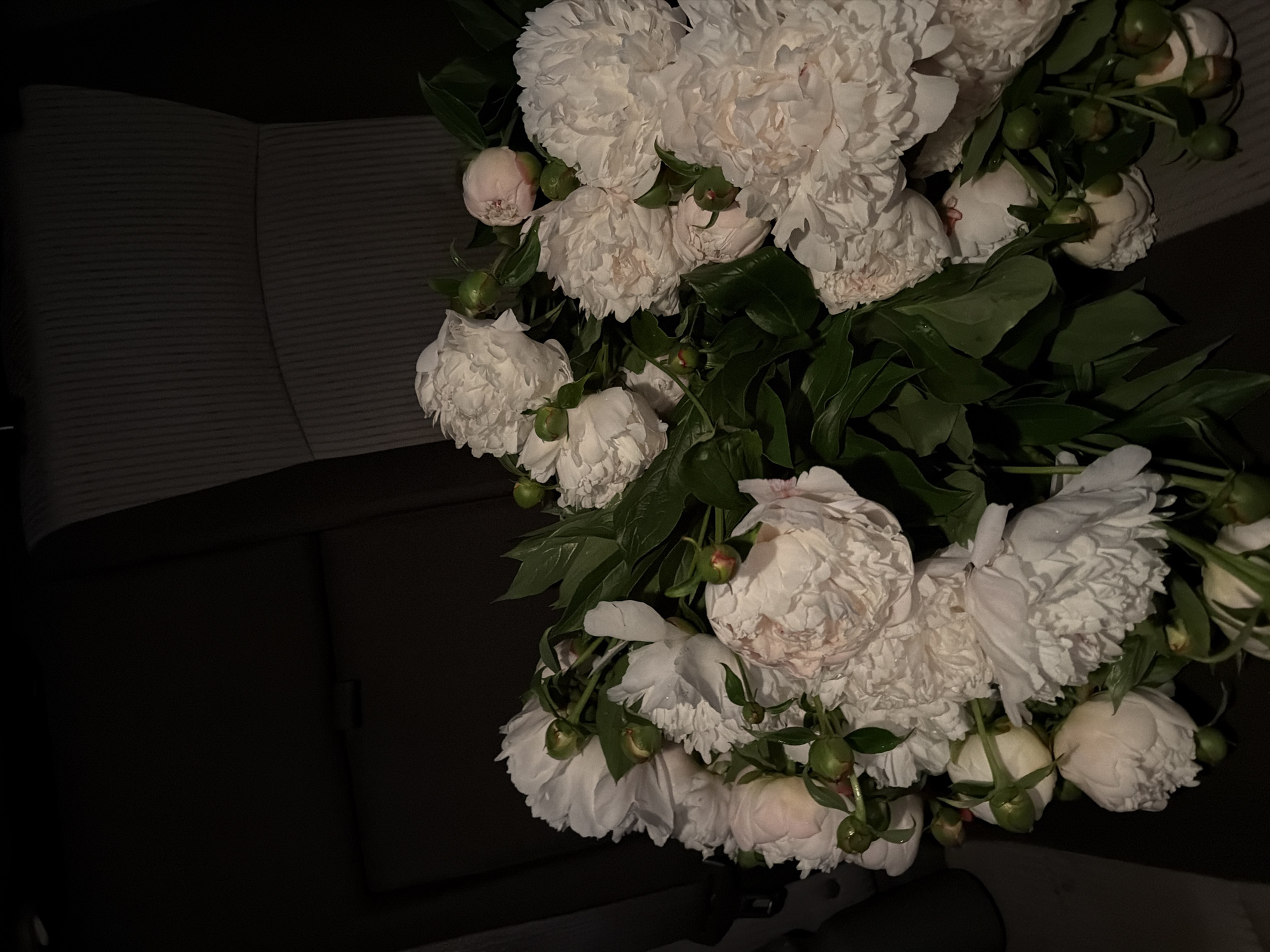 The image displays a large bouquet of white peonies, featuring flowers in various stages of bloom, from tight buds to fully open, ruffled blossoms. Many of the flowers and leaves appear to be wet, possibly with dew or water droplets. Abundant green foliage accompanies the white flowers. The bouquet is situated against a dark, ambiguous background, with a distinctive dark gray, ribbed fabric visible on the left side of the frame, strongly suggesting the setting is the interior of a car or similar vehicle. The lighting is dim and localized, highlighting the bright flowers against the dark surroundings, indicating the photo was taken at night or in a dimly lit indoor space. There are no people visible, and no specific activity is taking place, but the presence of the bouquet suggests a gift or a moment of appreciation. No text is visible in the image. This scene is located in Chaikovsky, Russia.