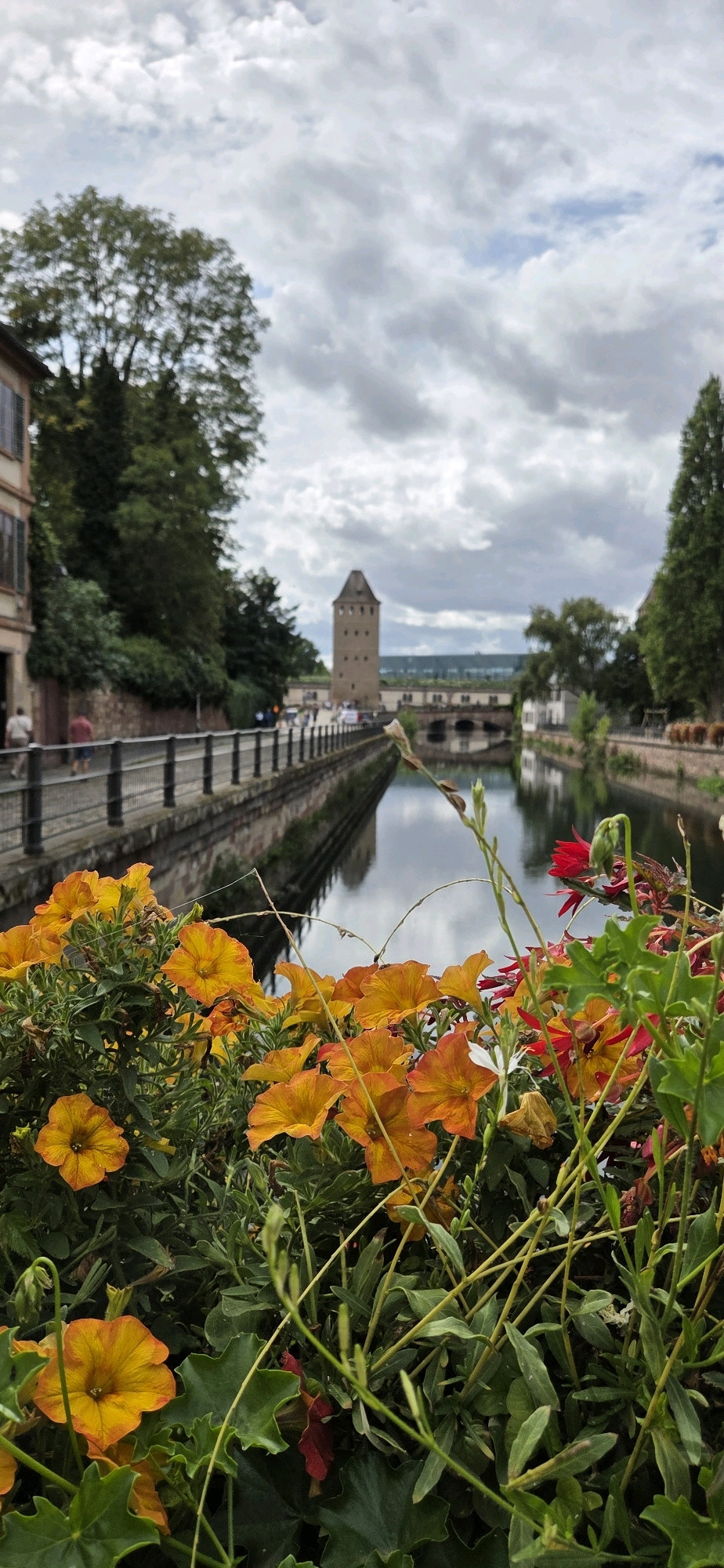 The image depicts a canal in Strasbourg, France, likely in the Petite France district. In the foreground, a cluster of vibrant orange petunia-like flowers and green foliage fills the bottom of the frame, with some red flowers interspersed. Beyond the flowers, a canal runs through the scene, its water reflecting the overcast sky and the surrounding architecture.
Along the left bank of the canal, a pedestrian walkway is lined with a black metal railing. A building with a light-colored facade and windows is visible on the far left. Further down the walkway, two individuals are walking away from the camera. On the right bank, more greenery and some buildings are present.
In the background, a prominent medieval tower, likely part of the Ponts Couverts, stands tall over a bridge spanning the canal. The sky is heavily clouded, creating a diffused light across the scene. The overall impression is of a picturesque urban waterway with floral embellishments.