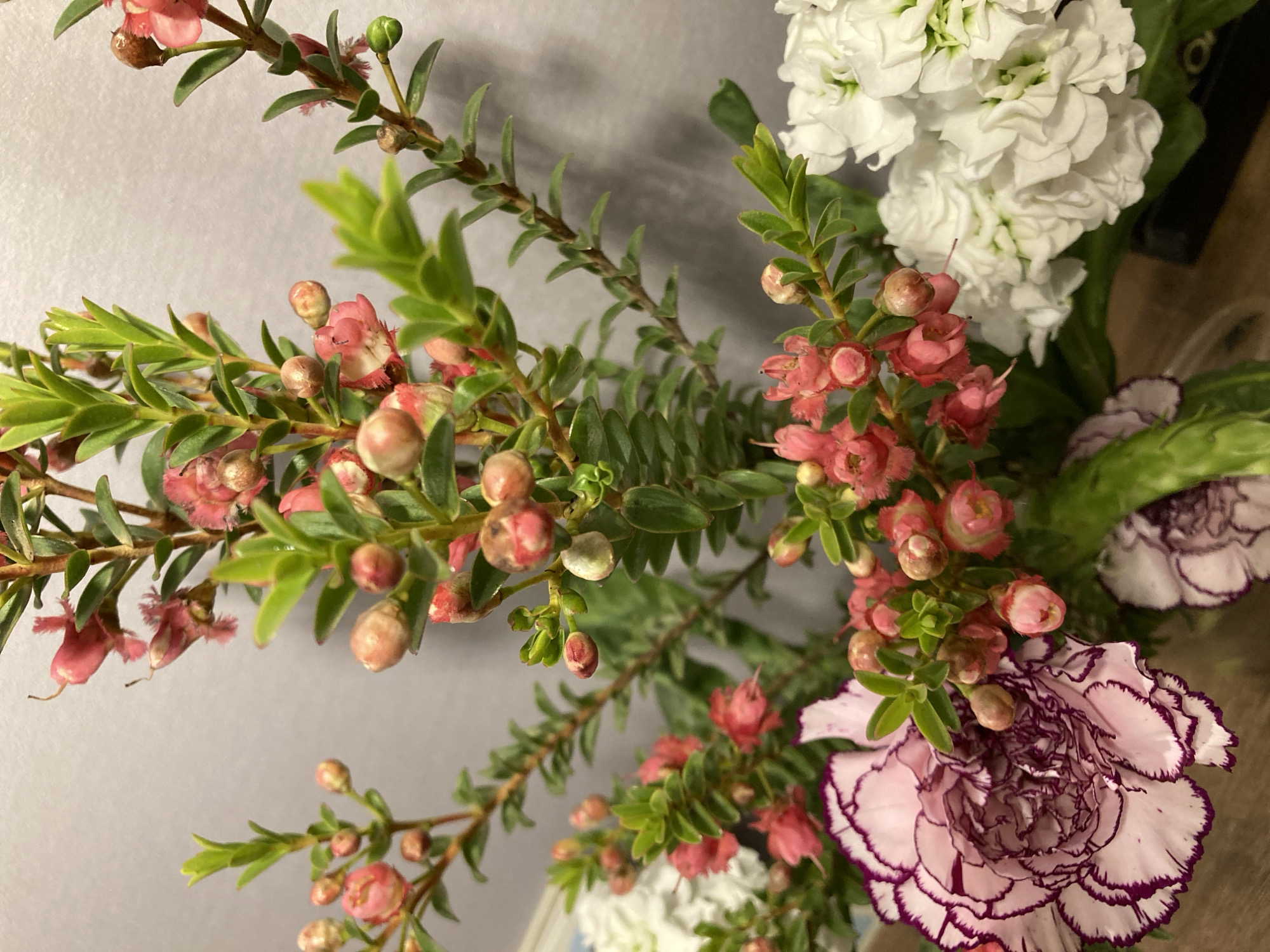 The image presents a close-up view of a floral arrangement. Prominent components include branches with small, pink bell-shaped flowers and green leaves. There is also a white flower with clustered petals and a pink and white carnation with dark purple edges. The background is a light grey. The location is not apparent from the image, and it is impossible to determine if it is in Chaikovsky, Russia.
