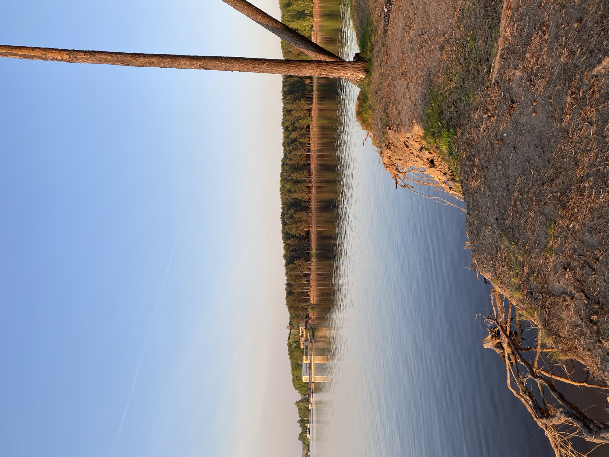 The image depicts a waterscape with a shoreline in the foreground and a forest visible in the distance. A tree trunk lies across the upper portion of the frame, extending from the shoreline into the sky. The shoreline consists of dirt and grass. The water's surface reflects the sky and trees, creating a mirrored effect. In the distance, there are structures along the shoreline, potentially houses or buildings. The sky is a gradient of blue. There is an airplane contrail in the sky. The location is the city of Unknown, Unknown.